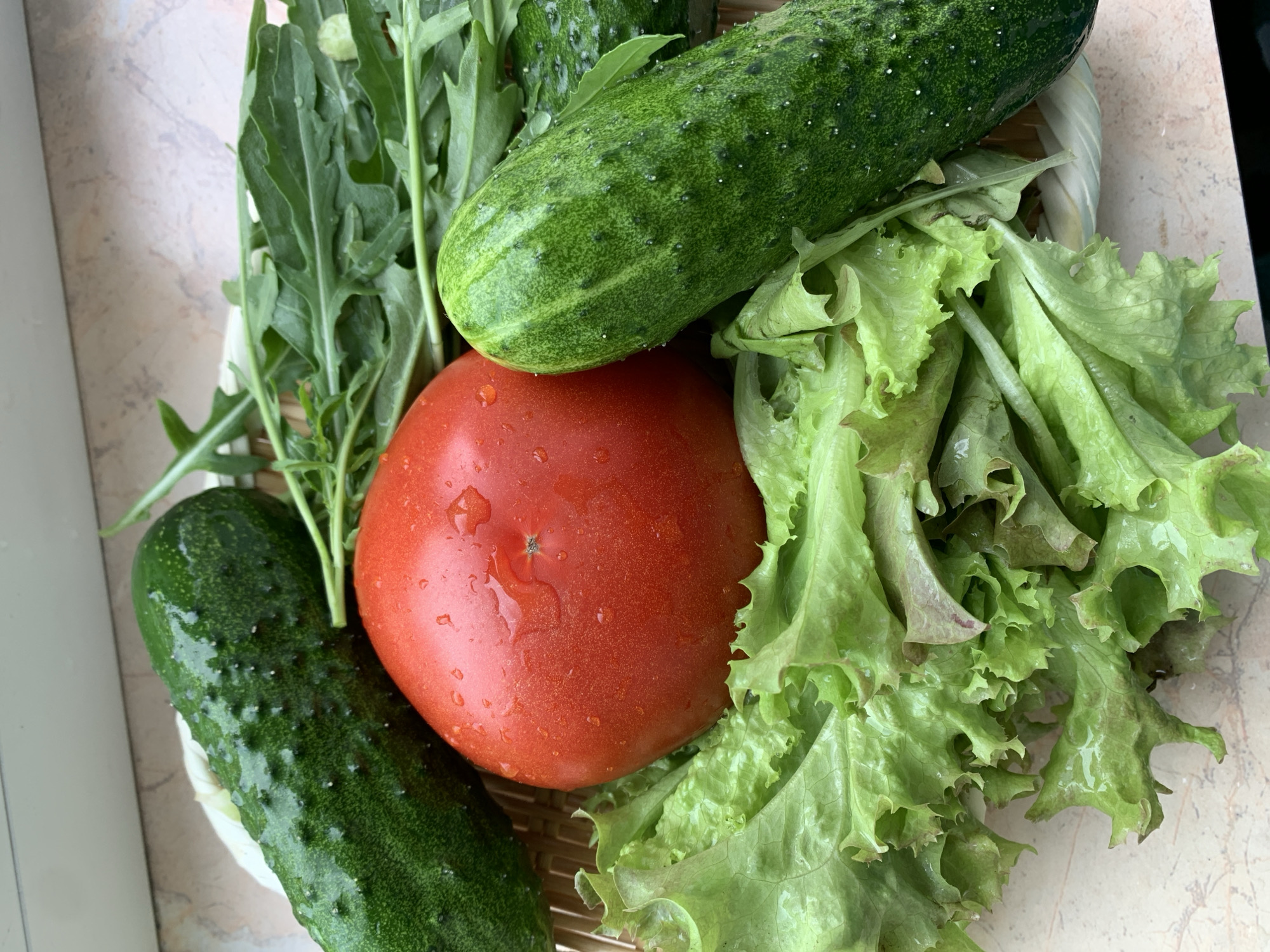 A top-down, close-up shot features a wicker basket filled with fresh vegetables and greens. The basket is partially visible at the bottom and right edges of the frame. Occupying the majority of the basket are two bumpy, dark green cucumbers, one positioned horizontally across the top and another vertically on the left side. Both cucumbers appear to have water droplets on their skin.
In the center of the basket is a large, bright red tomato, also glistening with water droplets. To the right of the tomato and below the top cucumber, a cluster of vibrant green lettuce leaves is prominently displayed. The lettuce has a ruffled texture. Behind the tomato and to the left, a bunch of dark green arugula leaves, with their characteristic lobed shape, are visible.
The background consists of a beige surface with a subtle marbled pattern. The lighting suggests an indoor setting, possibly near a window, given the soft illumination and the presence of what appears to be a windowsill or countertop. There is no visible text or indication of specific time of day or weather. The overall impression is of a fresh harvest or ingredients prepared for a meal.