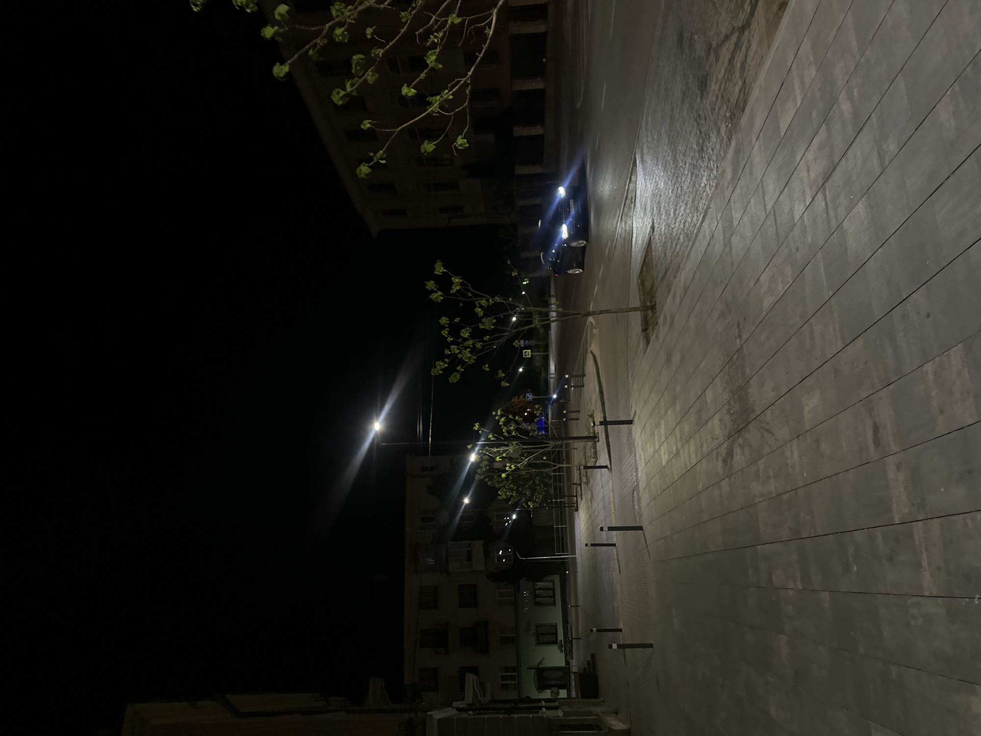 The image depicts a street scene at night in Ternopil, Ukraine. The street is lined with young trees on the right and buildings on both sides. A car with its headlights on is visible on the street. The pavement is composed of long, dark gray rectangular stones. The left side of the image is predominantly dark, contrasting with the brighter, illuminated street. Streetlights cast a bright glow, and some signs are visible.
