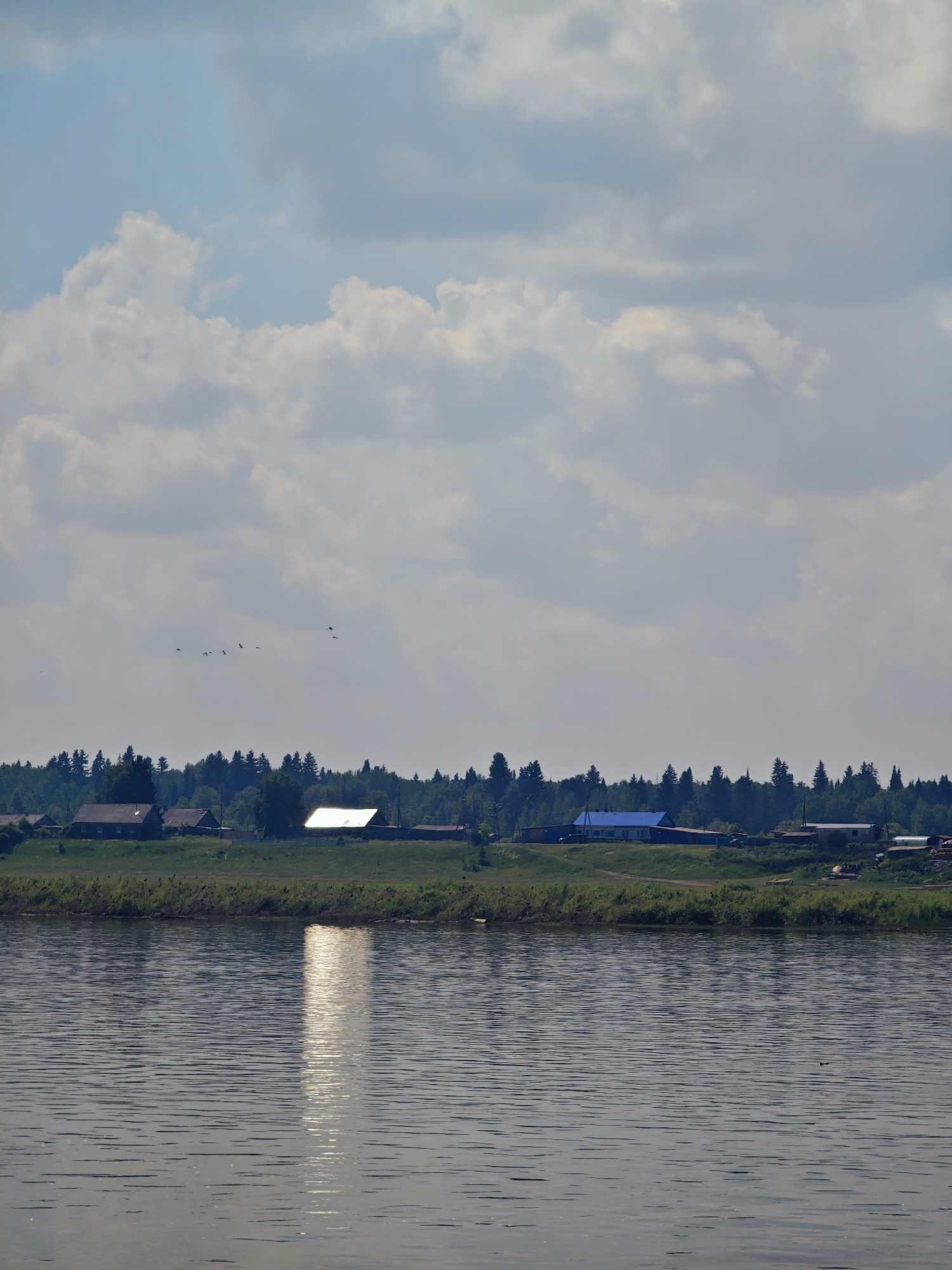 This is a medium-shot, eye-level, outdoor photograph taken on a sunny day in Pogodaevo, Russia, depicting a view across a body of water towards a village situated on a gentle slope. The foreground is dominated by a wide river with a rippled surface, reflecting the sunlight in a bright, vertical streak. The midground shows a grassy bank lined with reeds. Beyond the bank, a cluster of buildings forms a village. Several houses with dark roofs and lighter walls are visible, along with a larger building featuring a bright blue roof. Behind the village, a dense line of green trees forms a backdrop against a sky filled with large, fluffy white and gray clouds. A flock of birds is flying in formation high in the sky above the village. The scene evokes a tranquil, rural atmosphere.