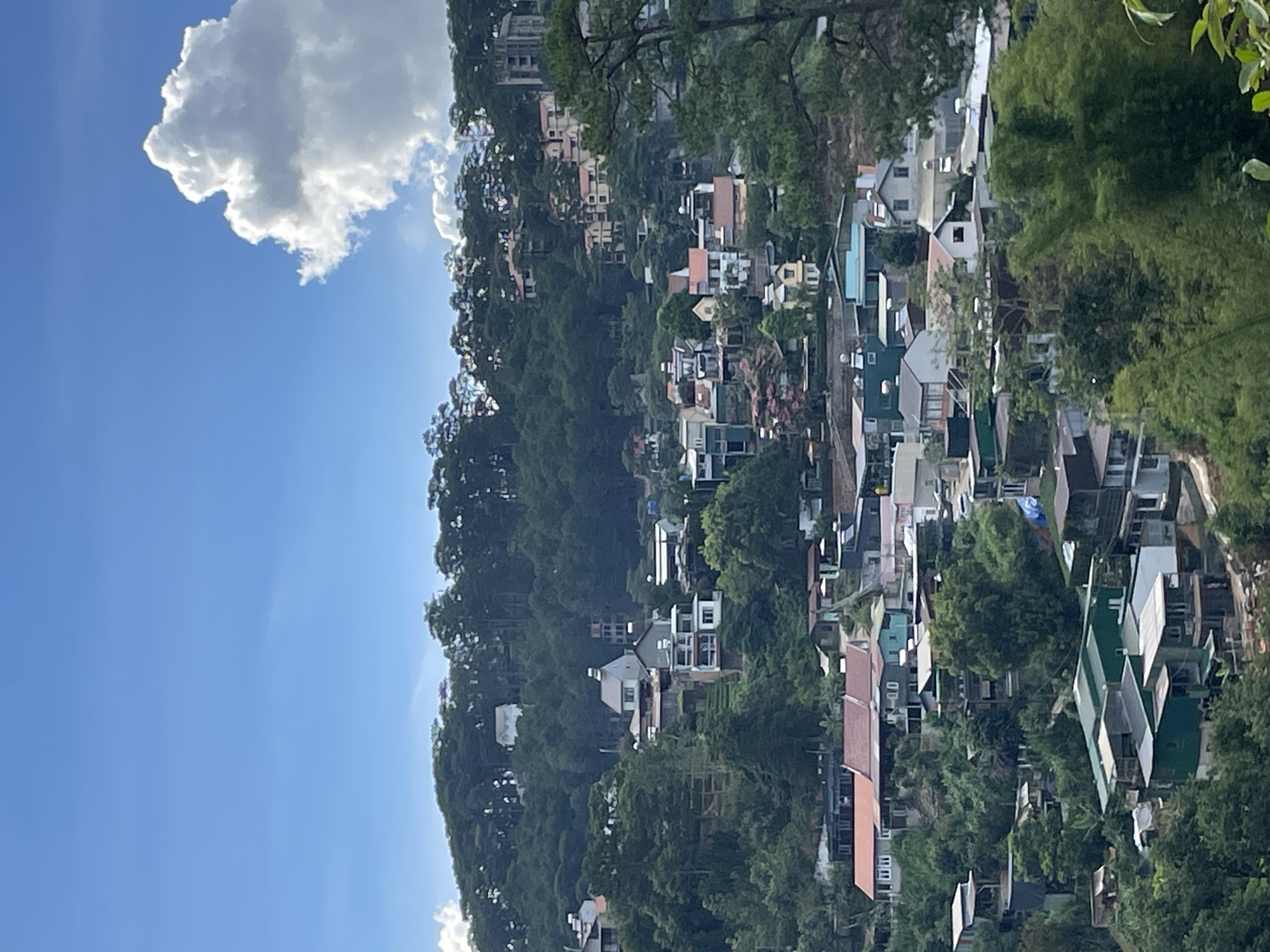 The image displays a panoramic view of a densely populated hillside in Da Lat, Vietnam. The scene is dominated by numerous houses and buildings of varying architectural styles, densely packed together and interspersed with abundant greenery. The buildings exhibit a mix of colors and materials, including red-tiled roofs, white and pastel-colored walls, and some structures with corrugated metal roofing. Many buildings are situated on steep slopes, with intricate terraced constructions and pathways visible.
The vegetation consists of a thick canopy of dark green trees and smaller trees and bushes, characteristic of the highland climate of Da Lat. The upper portion of the image is dominated by a bright blue sky with a large, fluffy white cloud formation on the right side. The overall impression is one of a sprawling hillside community nestled within a lush, forested environment. There are no visible people or specific actions taking place in the image. The perspective suggests the photograph was taken from an elevated vantage point, looking down and across the hillside.