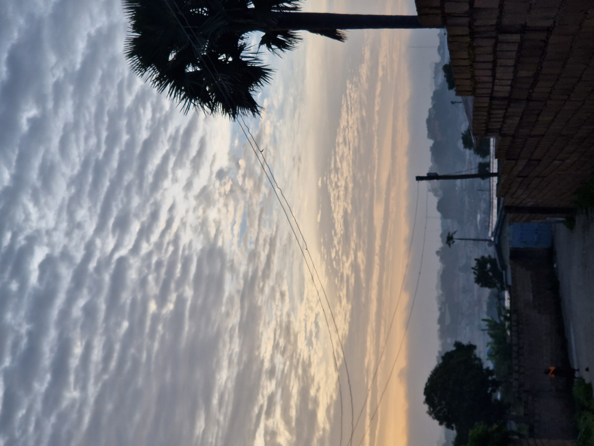 The image depicts a hazy sunrise over a cityscape, with a dramatic sky filled with undulating clouds. In the foreground, a brick wall runs diagonally from the lower right corner. To the left of the wall, a dirt path curves into the distance, bordered by more brick structures. A solitary figure, wearing dark clothing with an orange accent, walks away from the viewer on the path. Further back, silhouetted trees and buildings create a muted backdrop against the sky. A tall palm tree with spiky fronds stands prominently on the right side of the frame, its dark form contrasting with the lighter sky. Electrical wires are visible strung across the mid-ground, connecting to a utility pole. The overall impression is of an early morning in a densely populated area, with a touch of natural beauty in the sky.