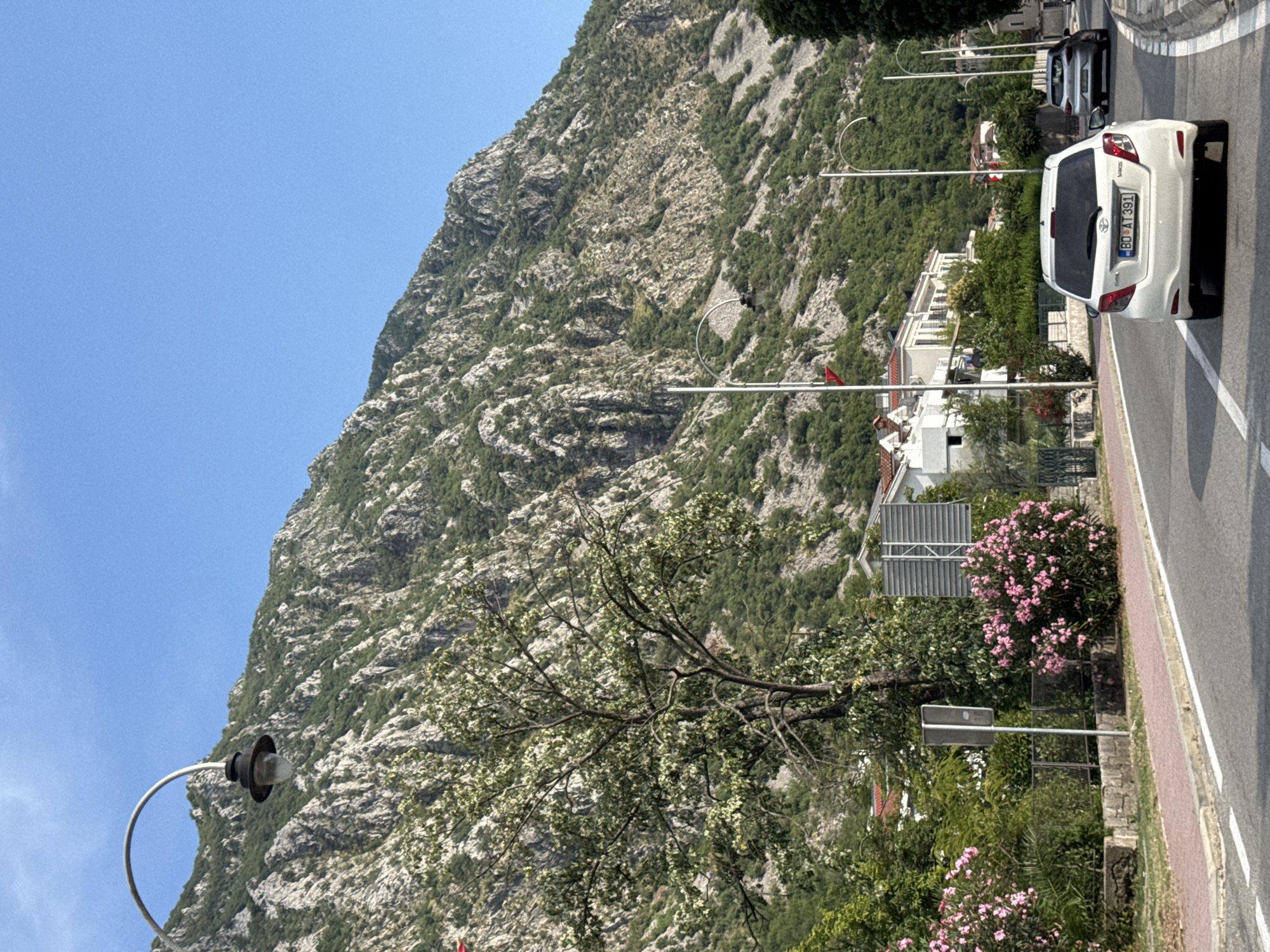 The image depicts a street scene in Risan, Montenegro, characterized by a towering, verdant mountain slope. A paved road runs through the foreground, with a white Toyota Yaris in the right lane and a silver car further ahead. The roadside features a pink-flowered bush, a lamppost, and a stone wall. Buildings with white facades and red roofs are visible on the left side of the road, nestled against the mountain. The sky is a clear, bright blue. The overall atmosphere is one of a sunny day in a picturesque coastal town.