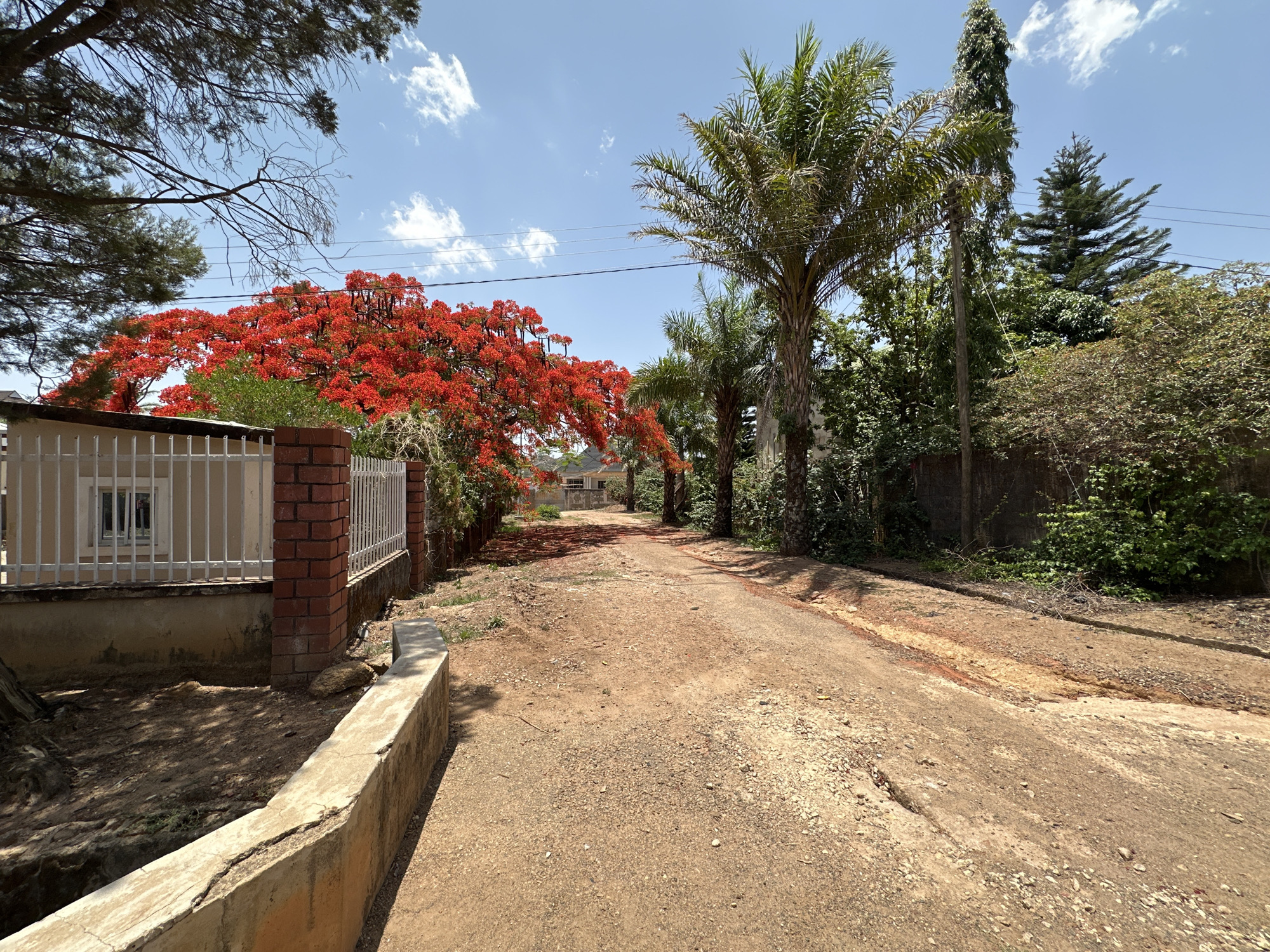 The image depicts a dusty dirt road in Jos, Nigeria. The road is flanked on either side by vegetation, including palm trees, flowering trees with red blossoms, and other greenery. A fence and low wall are visible on the left side of the road, bordering a building. Overhead power lines stretch across the scene against a blue sky with scattered clouds. The road surface is uneven and shows signs of wear and erosion. No people or animals are visible in the photograph.