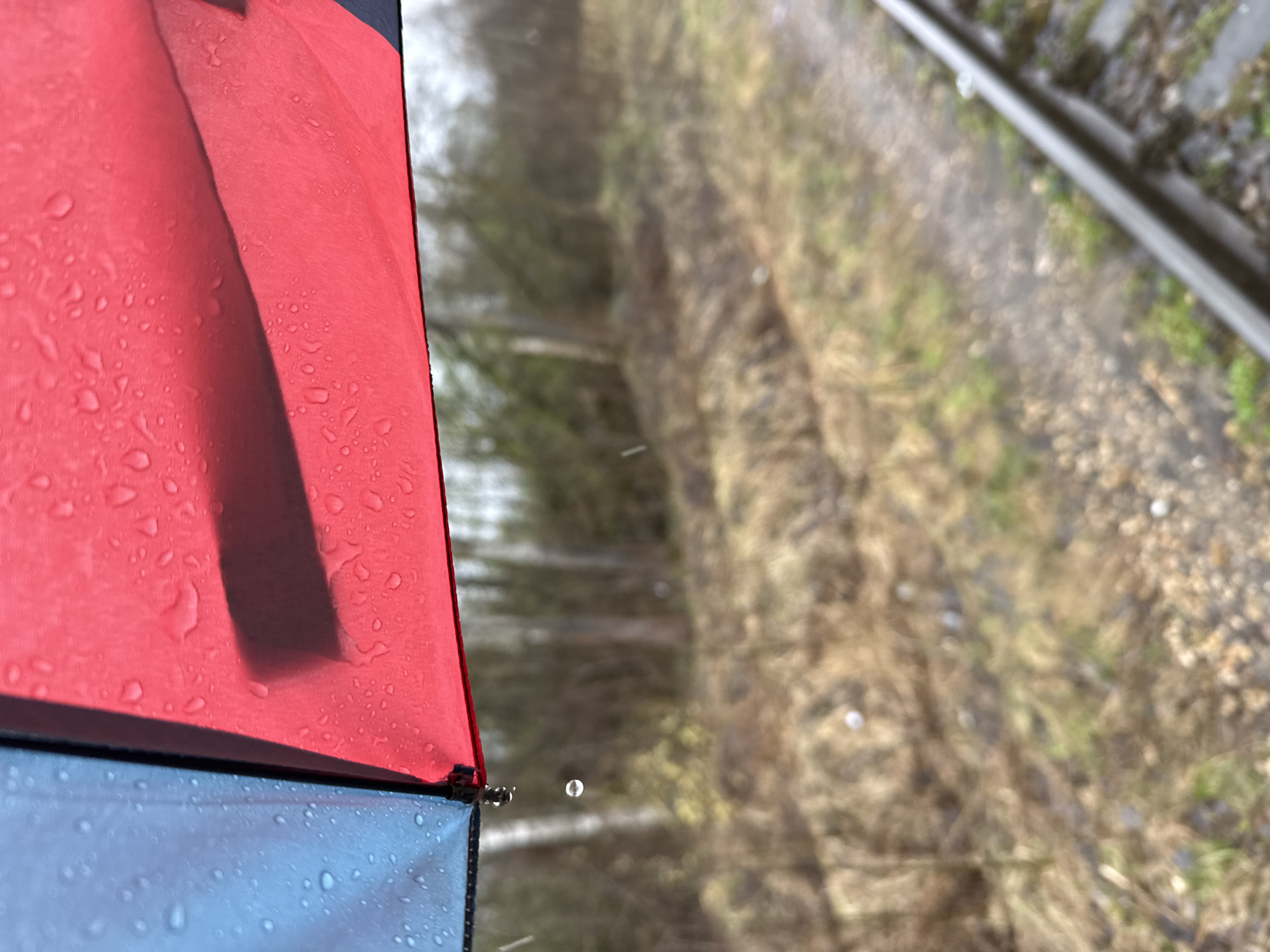 The image shows a section of a wet, partly open umbrella, with raindrops visible on its red and blue fabric. The background is blurred and appears to be a view from a train window, possibly of railway tracks and vegetation. The location is inferred as Dmitrov, Russia.