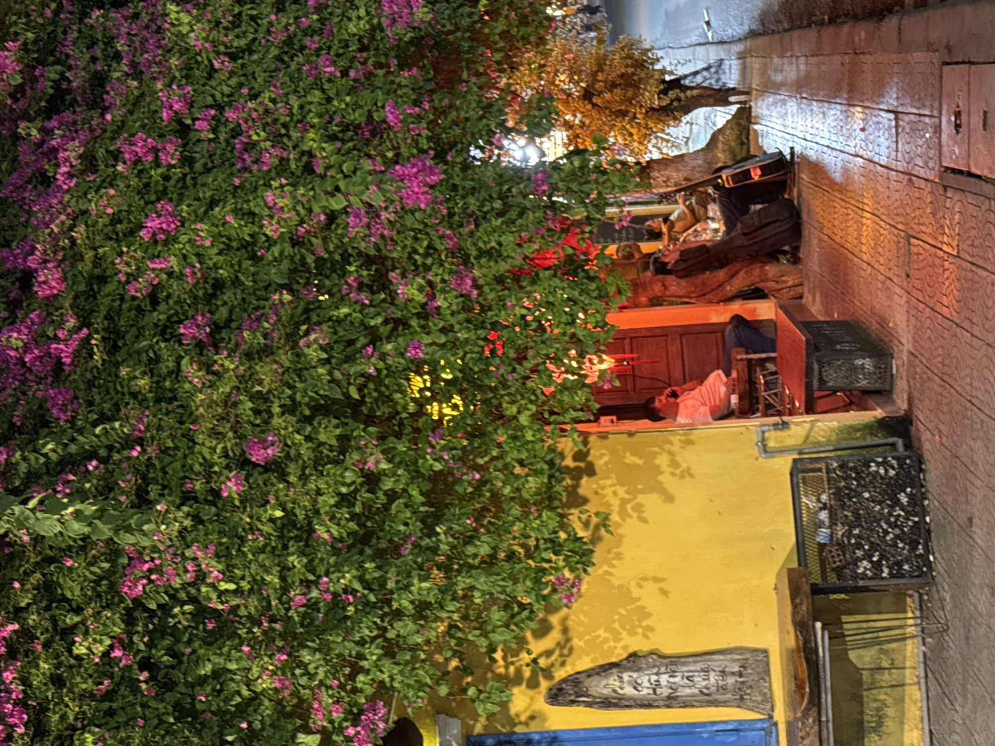 The image depicts a street scene in Hội An Ward, Vietnam, likely at night or dusk, with a complex interplay of natural and built environments. A large bougainvillea plant, densely covered with green leaves and pinkish-purple flowers, dominates the left side of the frame. To the right, a yellow-painted building wall is partially visible, with a shadow cast by the bougainvillea. Below, a blue object or structure is located. Above this scene, further up the image, there is an area of human activity. There appear to be people sitting or reclining, possibly in an outdoor dining or entertainment area. A guitar case is visible. A light source illuminates this area, casting a warm glow. The street pavement, appears to be wet. Overall, the scene is a mix of natural beauty and urban activity.