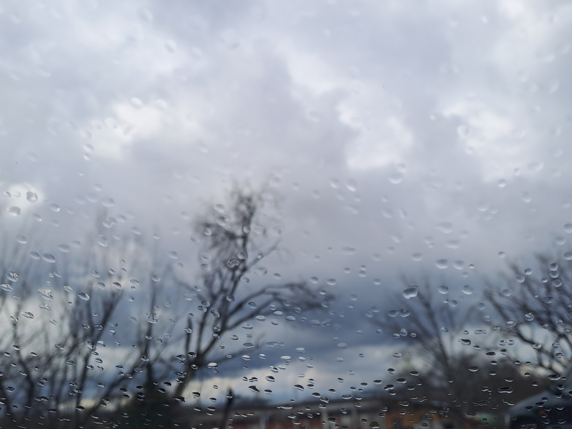 The image shows a view through a wet window, presumably a windshield, with raindrops scattered across the glass. In the background, out of focus, are bare trees without leaves, indicating either late autumn or winter. Above the trees is a cloudy, overcast sky, suggesting a rainy or stormy day. In the far background and under the trees, there are some structures, probably houses or buildings, but their details are indistinct due to the focus and rain. There is no information available in the picture that confirms the location in the city of Varshets, Bulgaria.