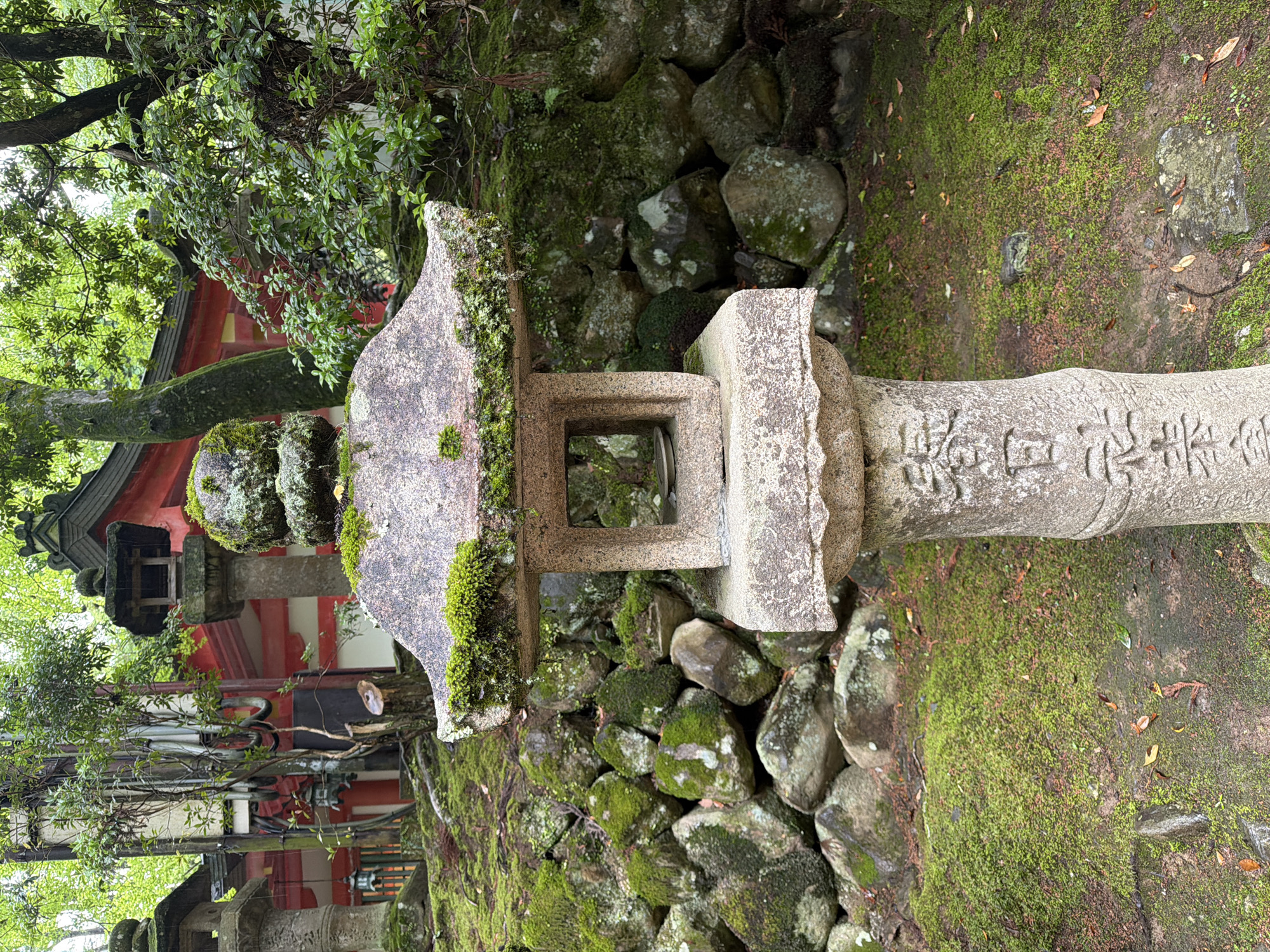 This image depicts an outdoor scene within the grounds of Kasuga Taisha, a Shinto shrine located in Nara, Japan. The central subject is a weathered stone lantern (tōrō) standing prominently in the foreground. This lantern is predominantly gray, constructed from multiple stacked stone sections, and heavily covered with vibrant green moss, particularly on its multi-tiered roof, curved mid-section, and square firebox. Inside the lantern's firebox, a small, circular, metallic object is visible, likely an offering. The cylindrical shaft of the lantern features carved Japanese characters, which translate to "春日元奉納" (Kasuga Gan Hōnō), indicating its dedication to Kasuga Shrine in its "first year" (likely referring to an offering date).
The ground around the lantern is densely covered in bright green moss, interspersed with areas of exposed dark soil and scattered dry, brown leaves. To the immediate left of the central lantern, a retaining wall composed of numerous irregular, moss-covered stones rises. Another stone lantern, similar in construction and moss coverage, is partially visible further back on the left side of the scene.
The mid-ground and background are characterized by dense green foliage and the trunks of several trees. Through the verdant canopy on the right side, a traditional Japanese building with a distinctive red and white painted wooden façade and a dark, multi-tiered roof is partially visible, consistent with the architectural style found at Kasuga Taisha. In the upper left background, some utility infrastructure is present, consisting of a pole with several gray, U-shaped conduits attached, standing near a recently cut tree stump and a small, slender tree. The scene is illuminated by soft, diffused natural light, suggesting an overcast day or the deep shade provided by the tree canopy, which enhances the saturation of the green moss and foliage. No human figures are present in the image.