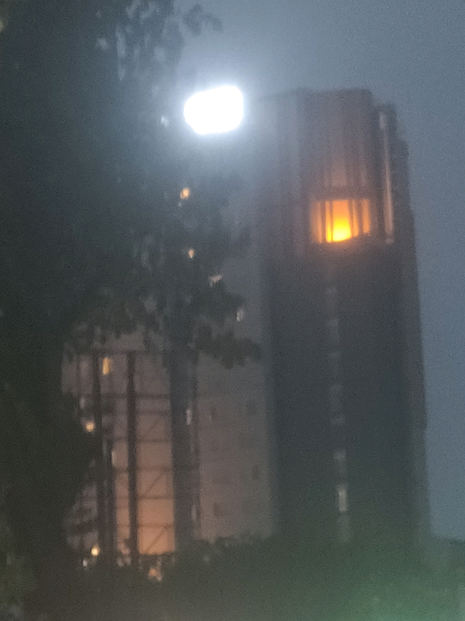 The image depicts a dimly lit, possibly foggy or misty, urban night scene. In the background, a tall, dark building with a warm, glowing window is visible on the right. A bright, oval-shaped light source, possibly a street lamp or the moon obscured by clouds, is positioned in the upper left quadrant of the image. In the foreground and mid-ground, silhouetted tree branches with some foliage obscure parts of the scene. The overall impression is one of a slightly hazy, nocturnal environment, possibly during a period of poor visibility. The image lacks any specific landmarks or details that would allow for definitive identification of the city or its location within Surabaya, Indonesia.