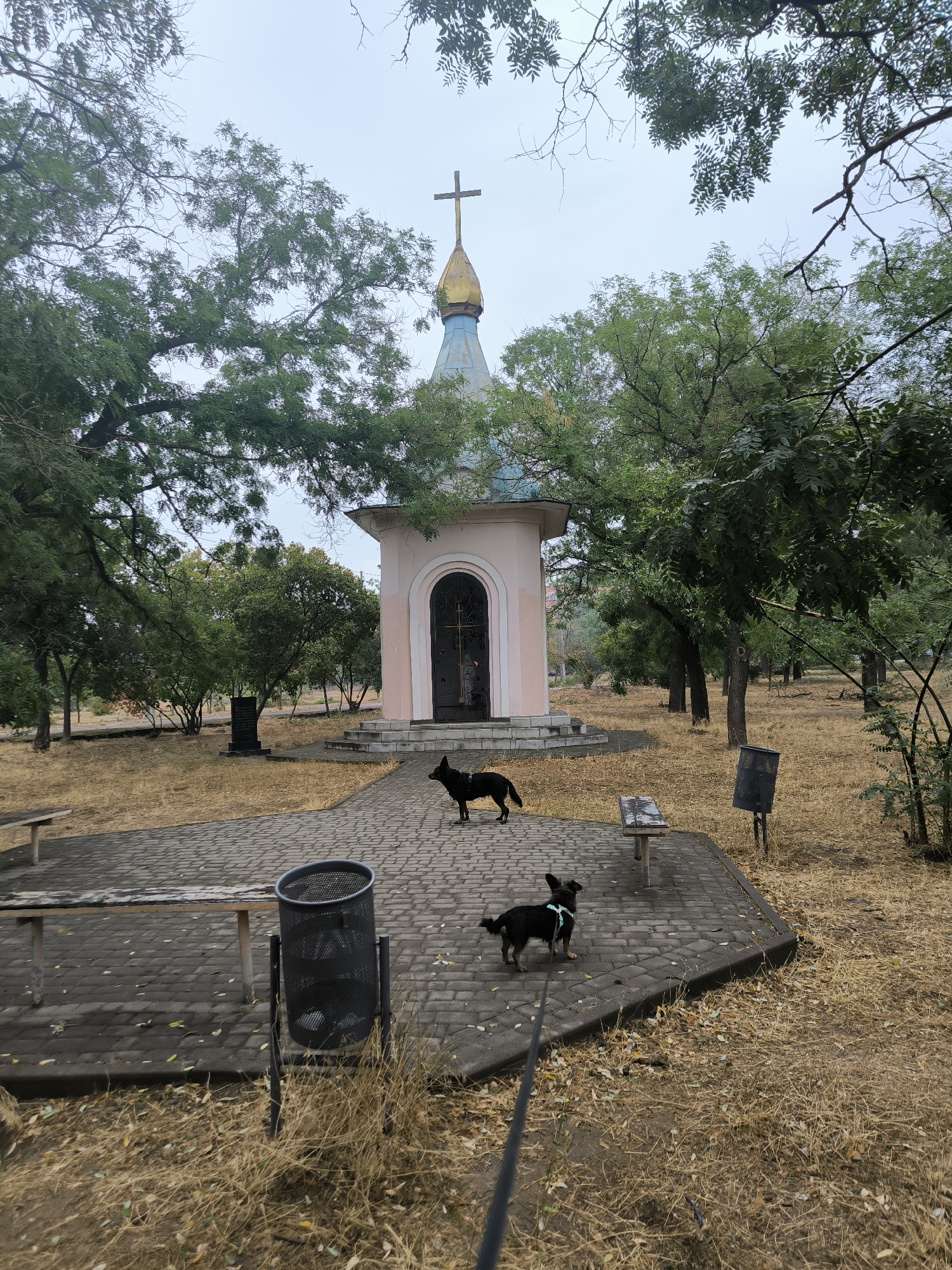 In Mykolaiv, Ukraine, a small, pale pink chapel with a blue and gold dome stands amidst a park-like setting. The chapel features an arched dark metal door with a cross visible inside. The ground surrounding the chapel is paved with grey bricks. Two black dogs, one larger and one smaller, are present on the paved area. The larger dog stands near the chapel's steps, while the smaller dog, on a leash, is closer to the foreground. Benches are placed on either side of the paved area, and a dark metal trash can is visible. The park is filled with numerous trees, some with dense green foliage, while the ground is covered in dry, yellow grass and fallen leaves. The sky is overcast.
