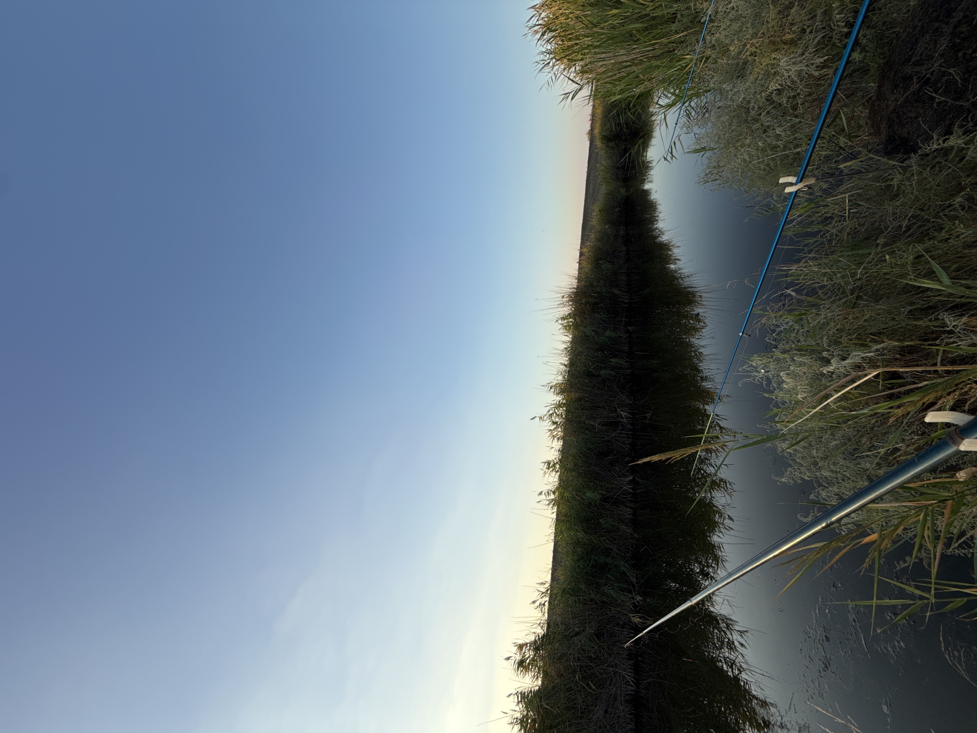 This is a horizontal, eye-level, outdoor photograph taken in Sovietskyi, Ukraine. The image depicts a calm body of water, likely a river or canal, reflecting the clear blue sky. The water is bordered by dense reeds and tall grasses on both sides. In the foreground, two fishing rods are visible, angled towards the water. One rod, dark in color, is positioned on the left, while a bright blue rod with a white clip is on the right. The lighting suggests it is either early morning or late afternoon. The overall scene evokes a sense of quietude and nature.