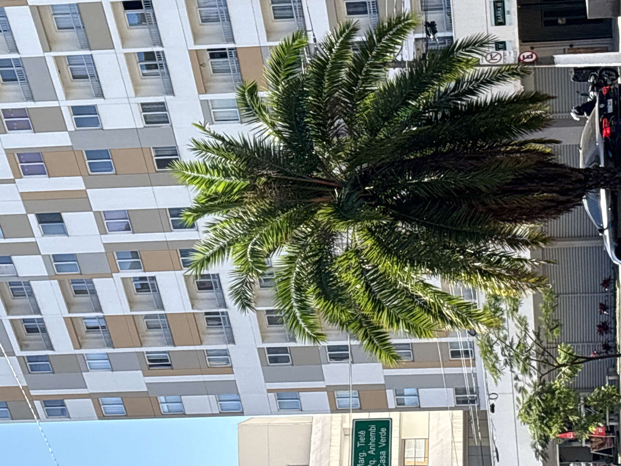 The image depicts a street scene in São Paulo, Brazil, with a focus on a residential building and a palm tree. The building is a multi-story structure with a facade characterized by alternating vertical sections of white, gray, and tan. Numerous windows and balconies are visible across its surface. In the foreground, a mature palm tree with lush green fronds dominates the center of the frame. To the left of the palm tree, a green street sign is partially visible, displaying text that includes "Marg. Tietê," "Pq. Anhembi," and "Casa Verde," indicating a location within the Casa Verde neighborhood of São Paulo, near the Tietê River and Anhembi Park. Further to the left, a portion of another building with a light-colored facade is visible. In the lower part of the image, a black car is parked, and behind it, a motorcycle is also parked. A street with a sidewalk and a metal fence can be seen. Traffic signs, including a circular sign with a diagonal line, are present on a pole. The sky is clear and blue.