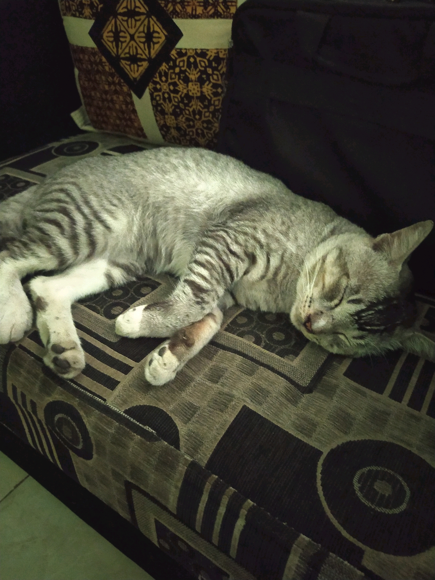 A tabby cat is sleeping on a patterned sofa. The cat is curled up, with its head resting on its paws. The sofa is dark with a geometric pattern in shades of brown and black. To the left of the sofa, a decorative pillow with a diamond pattern in yellow and brown is visible. The environment appears to be indoors.
