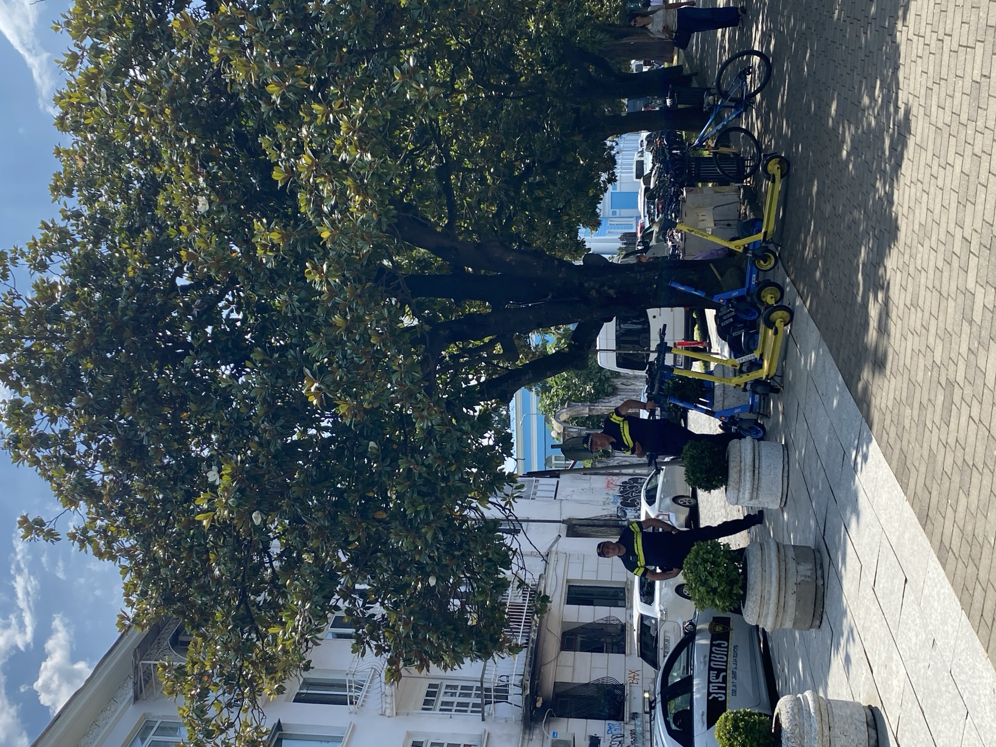 The image shows a sunny day scene on a sidewalk in Batumi, Georgia, near a white building with balconies and windows. A large tree with green leaves and white flowers provides shade. Two men in dark uniforms with yellow stripes are standing near a white police car with Georgian script on its side. Several planters with green bushes are placed on the sidewalk. In the background, there are parked cars, a white van, and a row of parked electric scooters and bicycles. A woman in a striped shirt and dark pants is walking on the sidewalk in the background. The ground is paved with light and dark colored bricks.