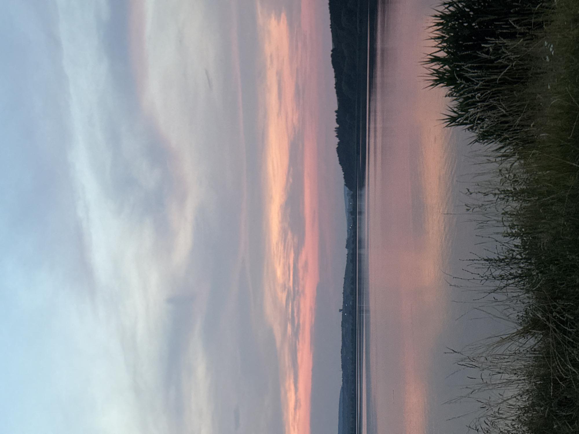 A serene landscape photograph captures a tranquil lake at dusk, with the sky painted in soft hues of pink, orange, and pale blue. Wispy clouds stretch across the horizon, reflecting gently on the calm water's surface. The opposite shore is lined with a dark, dense forest, its silhouette stark against the colorful sky. In the foreground, tall grasses and reeds stand silhouetted, adding a natural texture to the scene. The location is identified as the Ternopil Reservoir, near the city of Berezhany, Ukraine. The image conveys a sense of peace and quietude, characteristic of twilight over a natural body of water.