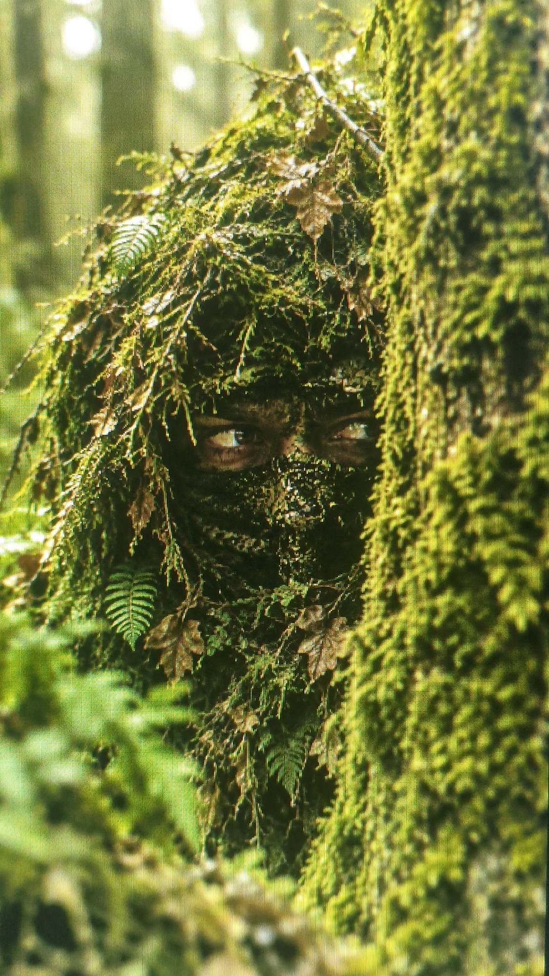 The image shows a close-up of a person camouflaged in vegetation, appearing to be in a forest or heavily wooded area. The individual's face is partially obscured by leaves and moss, with only their eyes and a portion of their nose visible. The eyes are open and looking forward, and the skin visible on the face appears to be painted with camouflage. The surrounding environment is lush with green foliage, including ferns and branches. The lighting suggests it is daytime, with sunlight filtering through the trees. There are no discernible elements within the image that would indicate a specific location in the city of Mehnatabad, Uzbekistan, as the vegetation and overall environment are generic to many natural settings.