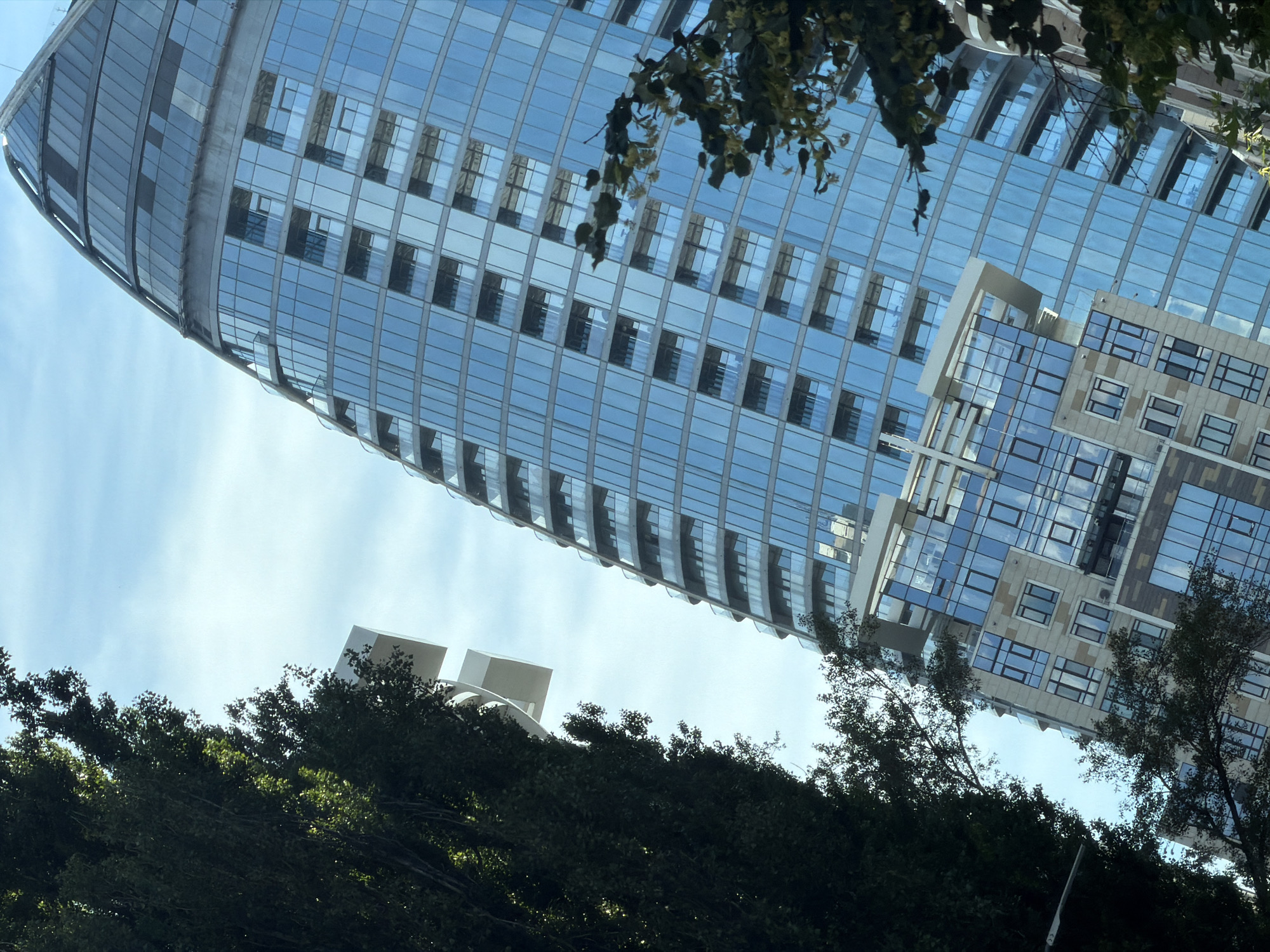 This is an angled, full shot of a modern, curved skyscraper with a glass facade, set against a blue, cloudy sky. The building is a striking feature, its reflective windows mirroring the sky and surrounding environment. In the foreground, to the left, a dense, dark green tree obscures a portion of the lower left quadrant of the image. To the right, branches of a lighter green tree with some yellow foliage frame the lower right section of the skyscraper. The lower part of the skyscraper has a more traditional stone and glass facade, contrasting with the sleek, curved glass upper section. The scene appears to be in an urban environment, likely Kyiv, Ukraine, given the architectural style and the presence of trees common in city parks and boulevards. There are no people visible in the image.