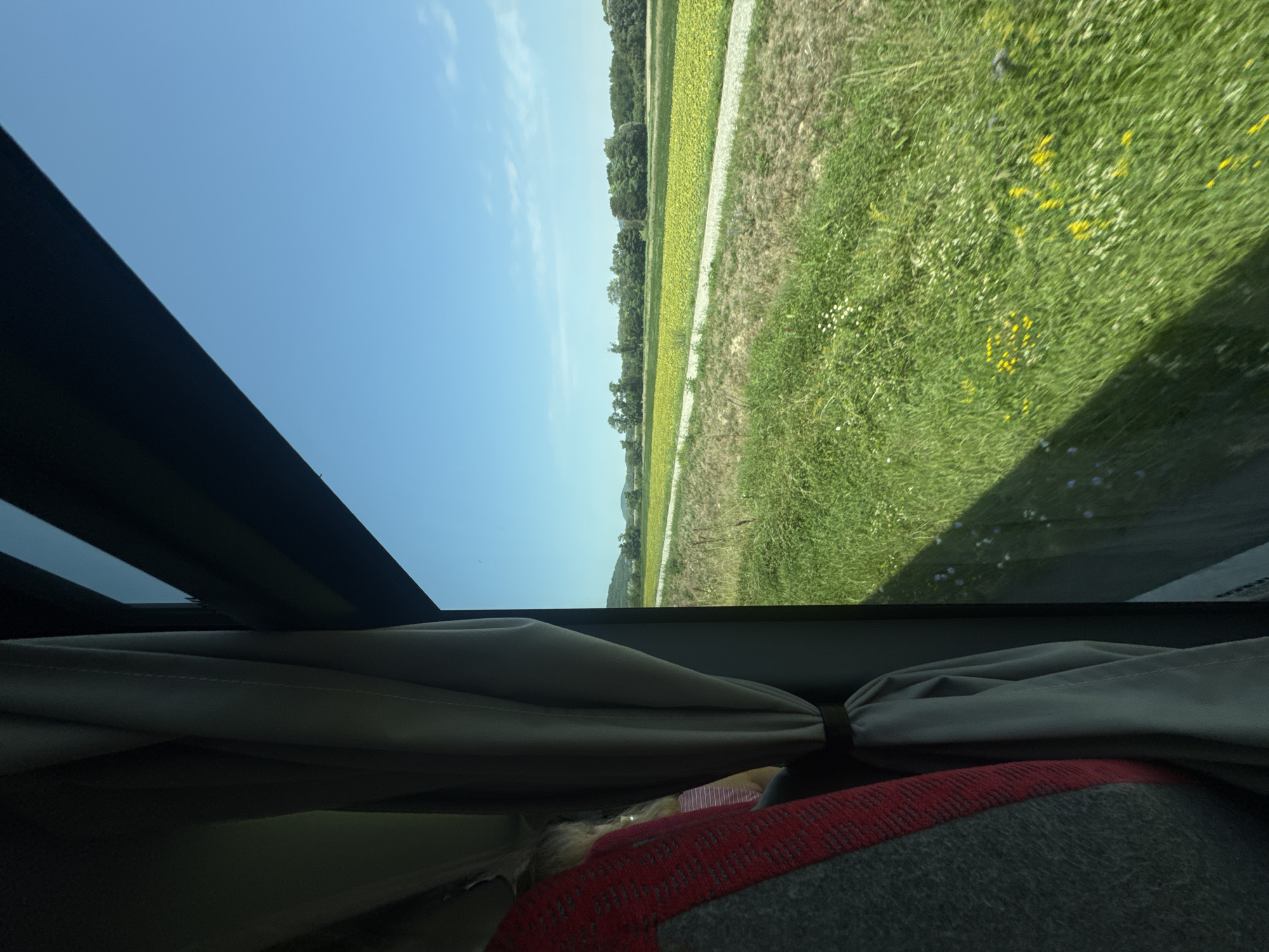 The image, captured from inside a vehicle, offers a view of a rural landscape through the window. On the left, a portion of a seat with red and gray upholstery is visible, along with a light gray curtain partially covering the window. The curtain is tied back with a dark band.
The main focus of the image is the outdoor scenery. A bright blue sky with a few wispy clouds forms the upper background. Below the sky, a vast field of bright yellow flowers, likely sunflowers, stretches across the middle ground. A narrow, light-colored path or road runs horizontally in front of this field. The foreground consists of lush green grass, dotted with small yellow and white wildflowers. In the far distance, rolling hills covered in trees are visible.
The location is described as being in the city of Berg, Austria. The scene depicts a sunny day in a countryside setting, possibly during the blooming season of sunflowers. The perspective suggests the photograph was taken while in motion, likely from a bus or car due to the presence of the seat and curtain.