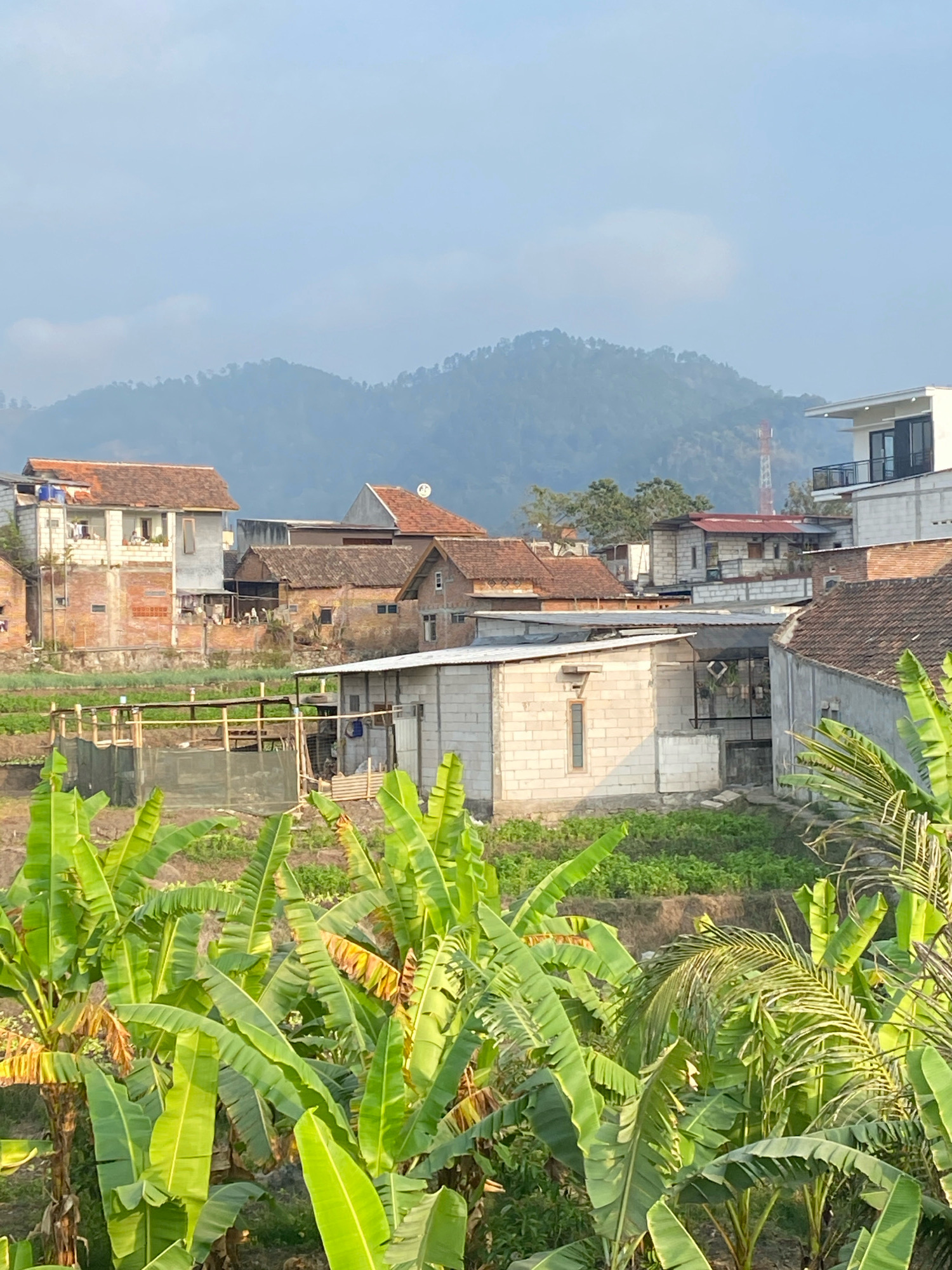 The image shows a view of a rural village with houses and lush green vegetation, including banana trees in the foreground. In the background, there are rolling hills and a hazy sky. The village appears to be situated on a hillside, with buildings of various sizes and architectural styles. Some houses are made of brick, while others have a more modern design. The vegetation is dense, suggesting a tropical or subtropical climate. The overall impression is one of a peaceful and natural setting.