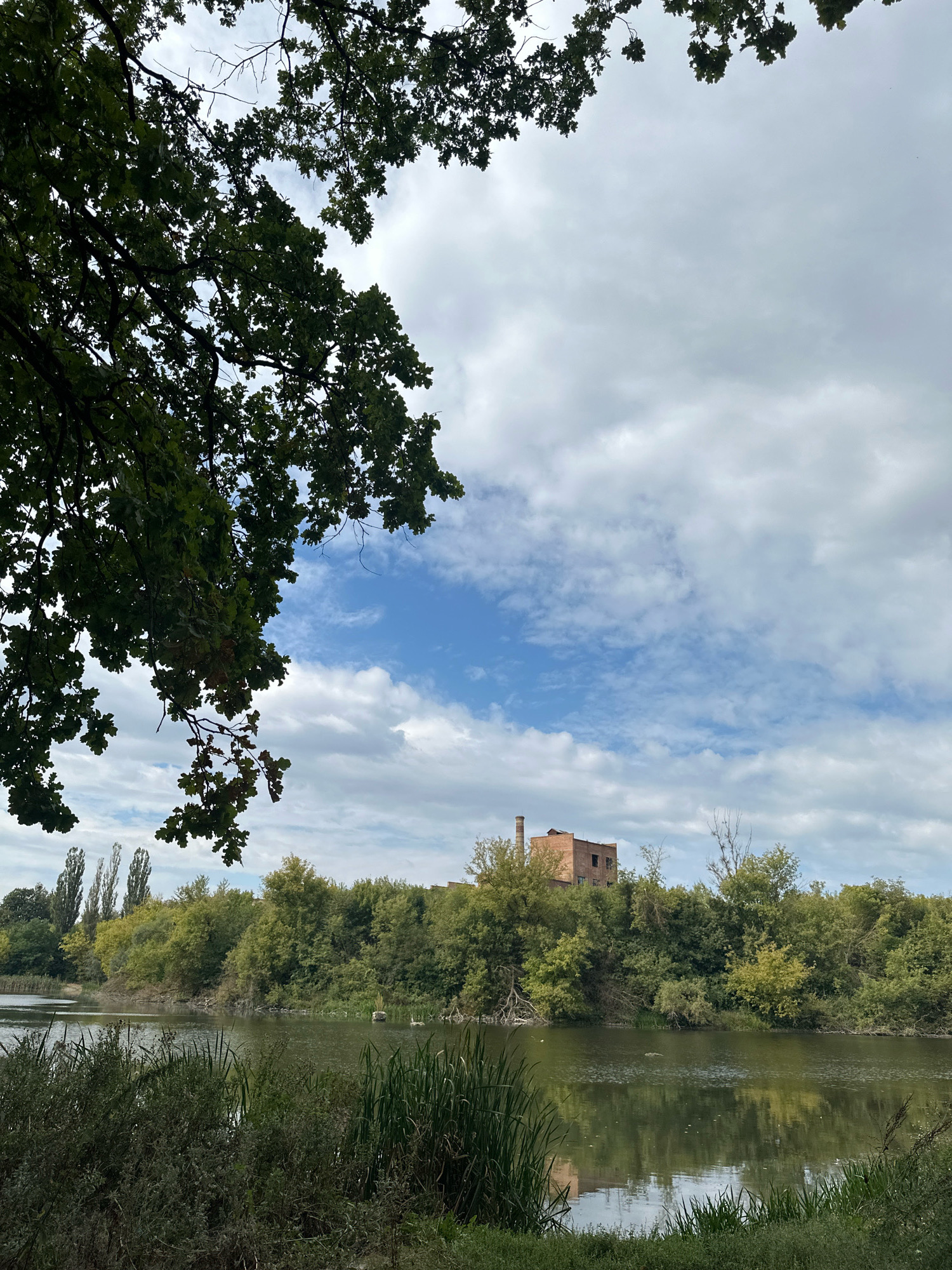 In the city of Makiv, Ukraine, a tranquil body of water reflects a cloudy sky, with reeds and tall grasses lining the foreground. Across the water, a dense line of green trees forms the embankment, with a brick industrial building, possibly abandoned, situated on the hilltop behind the foliage. The building features a prominent chimney and multiple windows, suggesting its former use. The upper portion of the image is dominated by the branches and leaves of an oak tree, framing the sky and the distant structure. The overall scene is one of natural beauty juxtaposed with remnants of industrial activity.