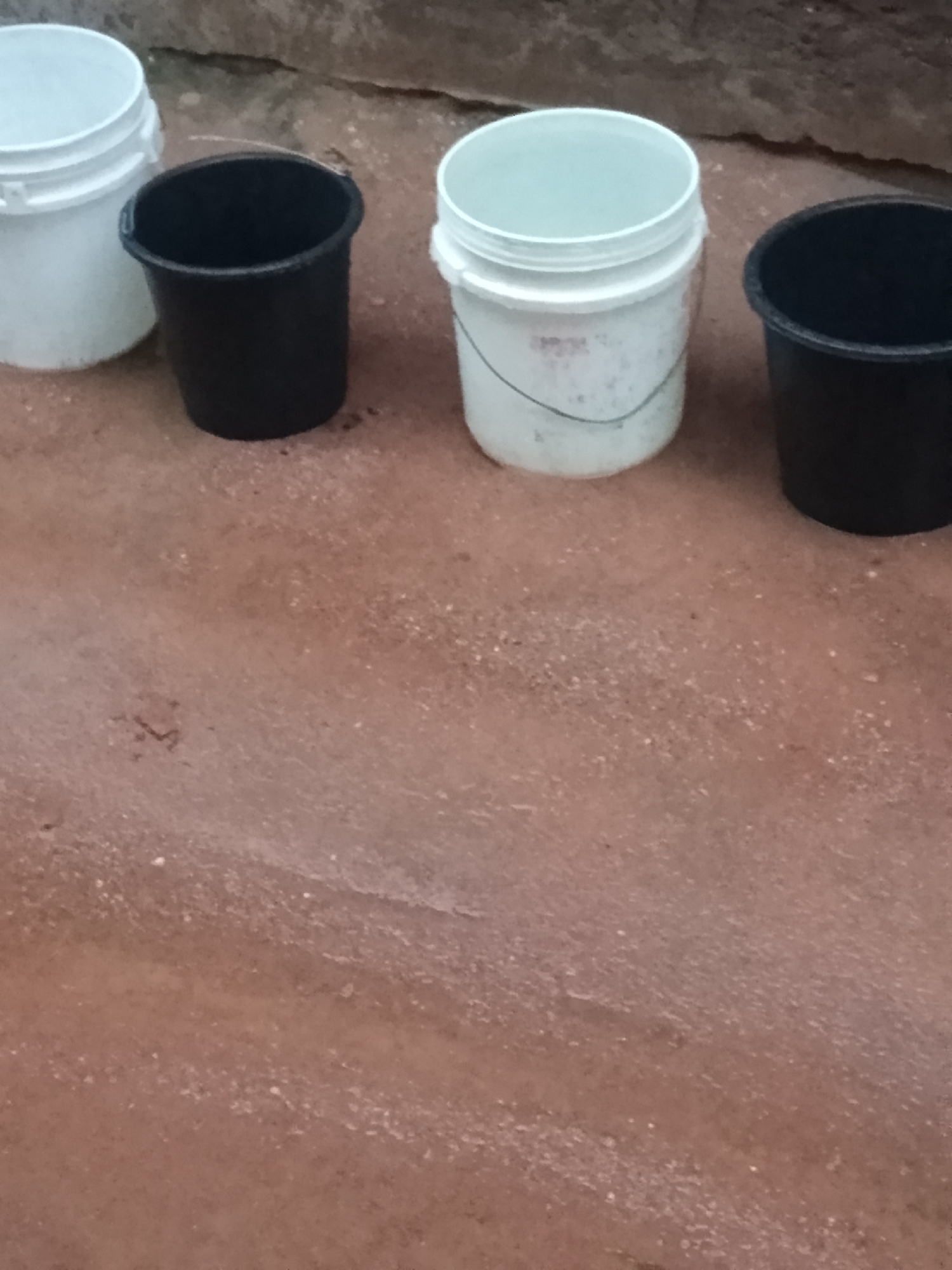 Four buckets are arranged on a reddish-brown, granular surface. From left to right, the first bucket is white and appears to be empty, with a wire handle. Next to it is a black bucket, also appearing empty. The third bucket is white and has a wire handle and some faint text visible on its exterior. This bucket also appears empty. To the right of the white bucket is another black bucket, which is also empty. The background is a rough, uneven surface that appears to be a wall or embankment. The lighting suggests it is daytime. The scene is static and shows no signs of human activity or movement.