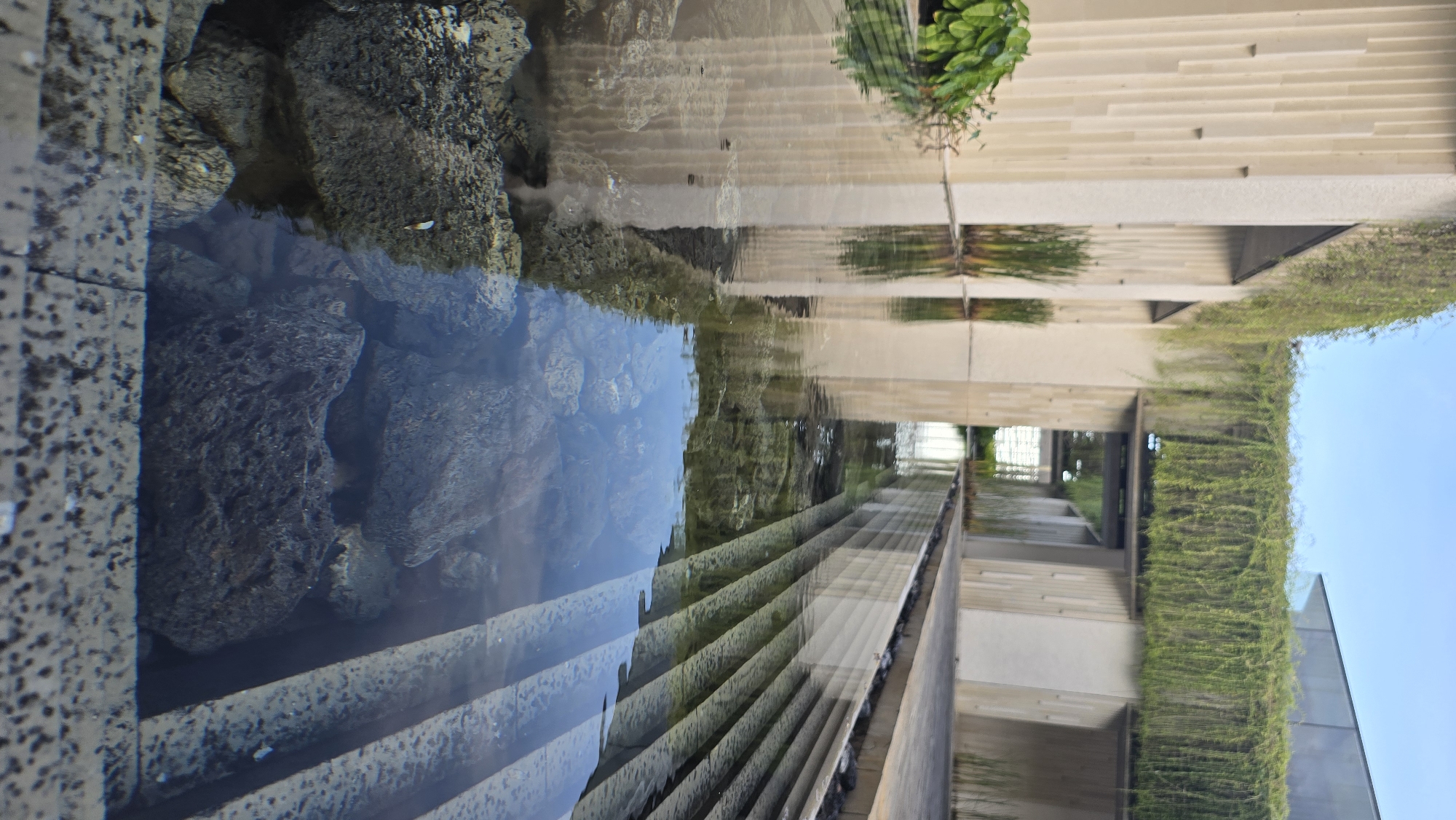The image captures a scene in Kuta Selatan, Indonesia, featuring a water feature incorporated into the architectural design of a building. In the foreground, a section of the water feature is visible, with rough-hewn stones submerged in clear water, reflecting the surroundings. The construction material used appears to be concrete or a similar aggregate-based substance. Steps descend into the water, adding an element of architectural interest. The background shows a building with modern architectural elements, including multiple levels and concrete columns covered in lush green vines. The sky is visible in the upper right corner, suggesting an outdoor setting. The overall scene suggests a tranquil environment, harmoniously blending natural elements with human-made structures.