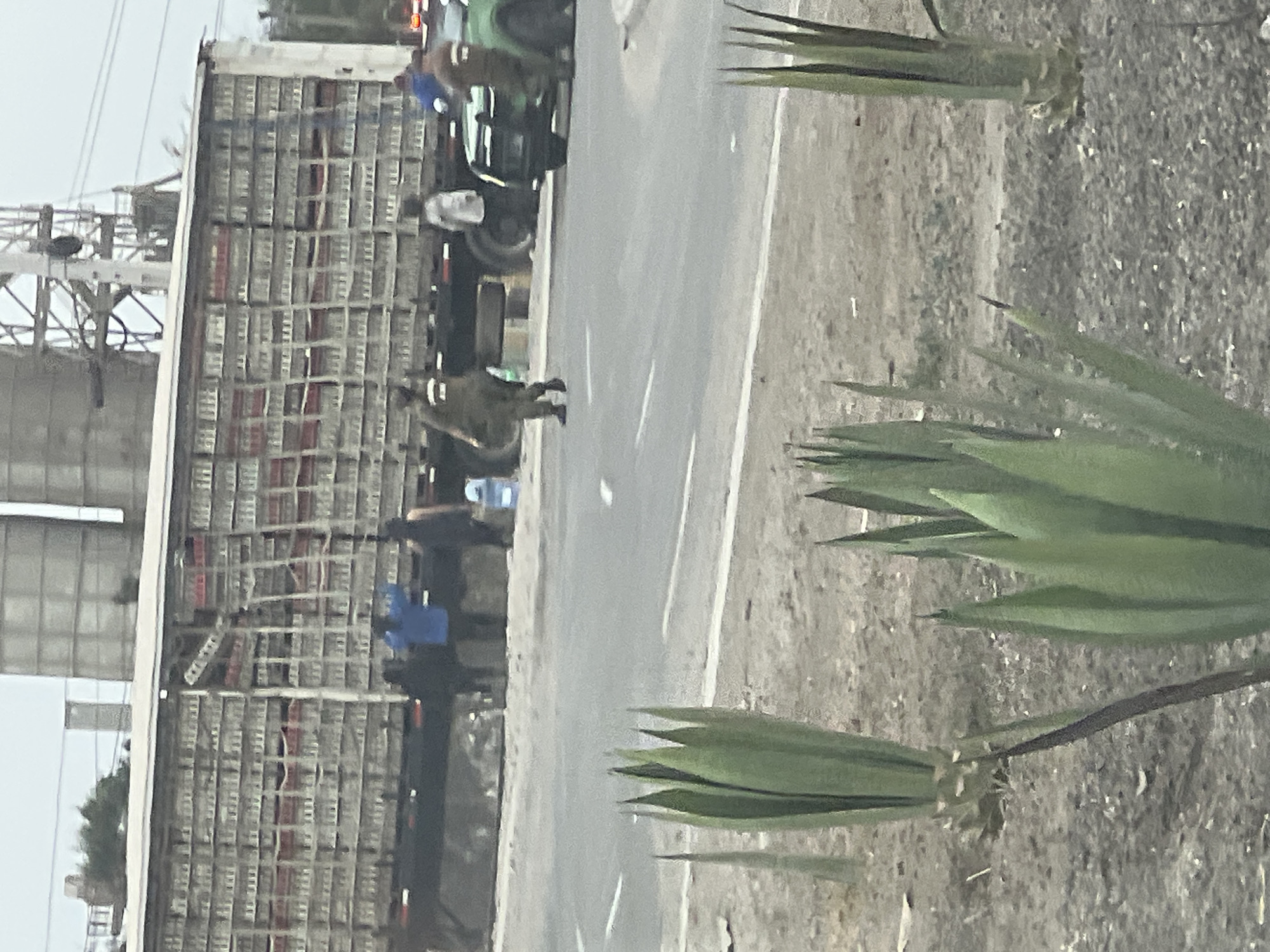 The image depicts a flatbed semi-trailer truck stopped on a road, likely in an industrial area, with a view of distant industrial infrastructure. The truck is loaded with stacked crates. Several individuals are visible near the truck, but their actions are unclear. The foreground includes several agave plants, suggesting a semi-arid environment. Given the request, this is likely somewhere outside of the city limits of Arica, Chile. The road itself appears to be a paved road with a shoulder and a broken white line marking the lanes.