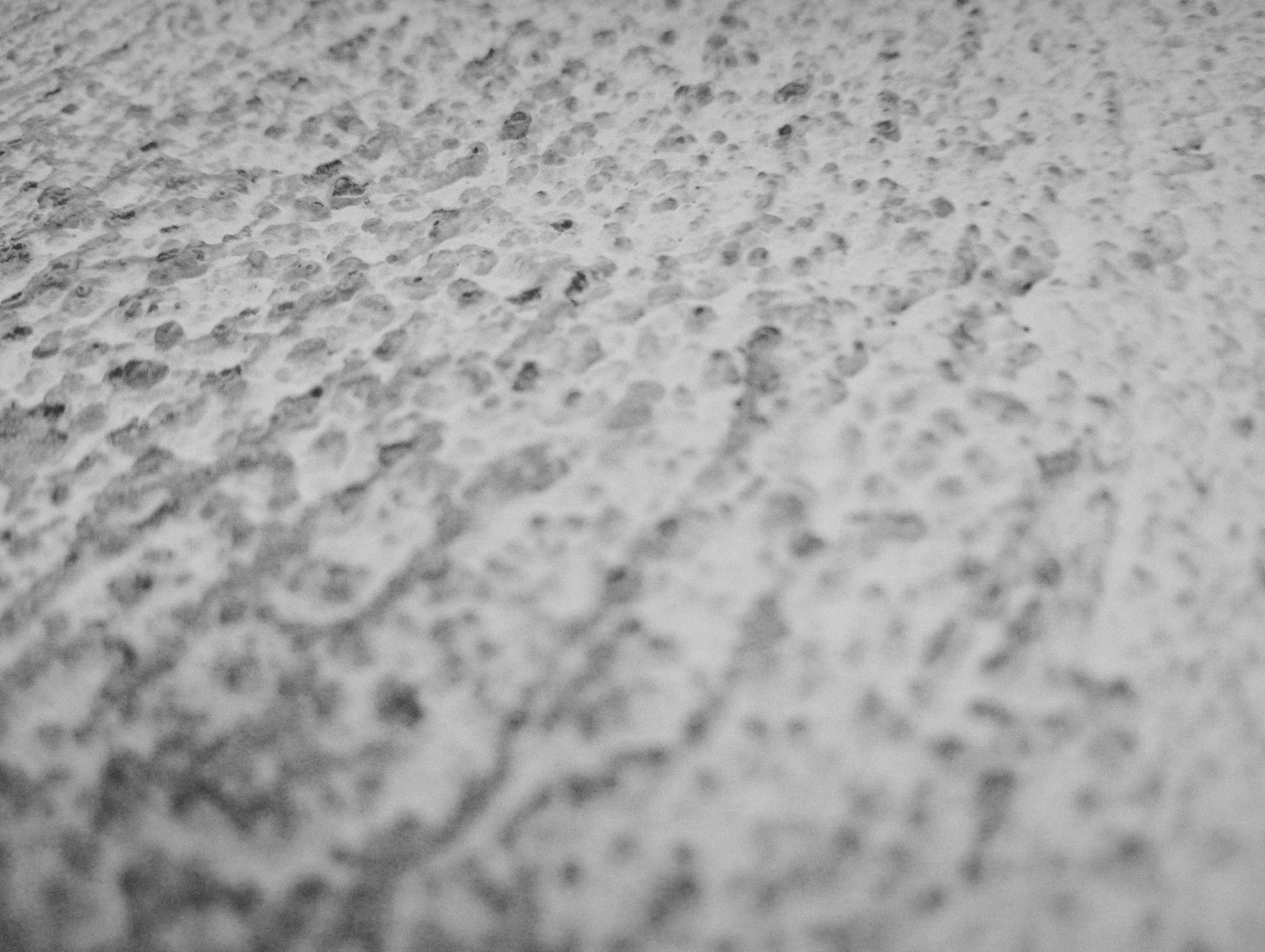The image is a close-up, black and white, shallow depth of field photograph of a textured, possibly organic surface. The surface appears to be composed of numerous small, rounded, irregular bumps or nodules of varying shades of gray, set against a lighter background. Some of these nodules are darker, suggesting shadows or variations in the material. The texture is irregular and somewhat rough, with a sense of depth due to the blurriness of objects further from the focal plane. There are no discernible people, animals, or specific objects, nor any clear indication of an urban environment or a specific location within Jalingo, Nigeria. The image is purely an abstract texture study.
