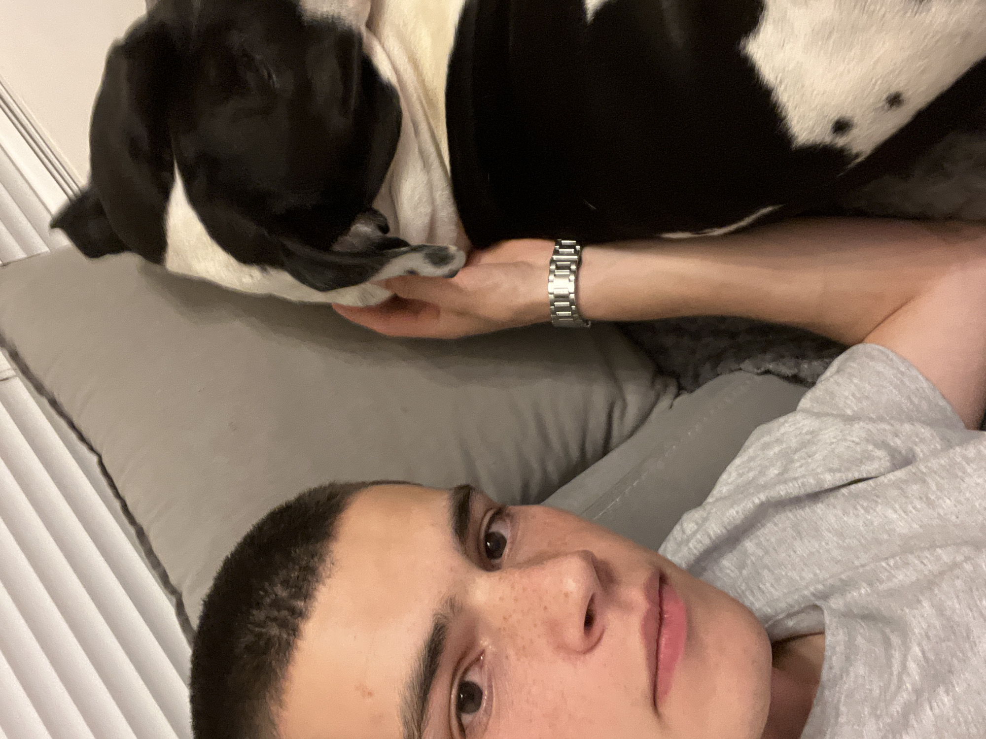 A man is lying on a grey pillow, wearing a grey t-shirt and a silver watch. A black and white dog is positioned above him, resting on his arm. The scene appears to be indoors, possibly a bedroom, with blinds visible in the background. There is no indication of this being in Plovdiv, Bulgaria.