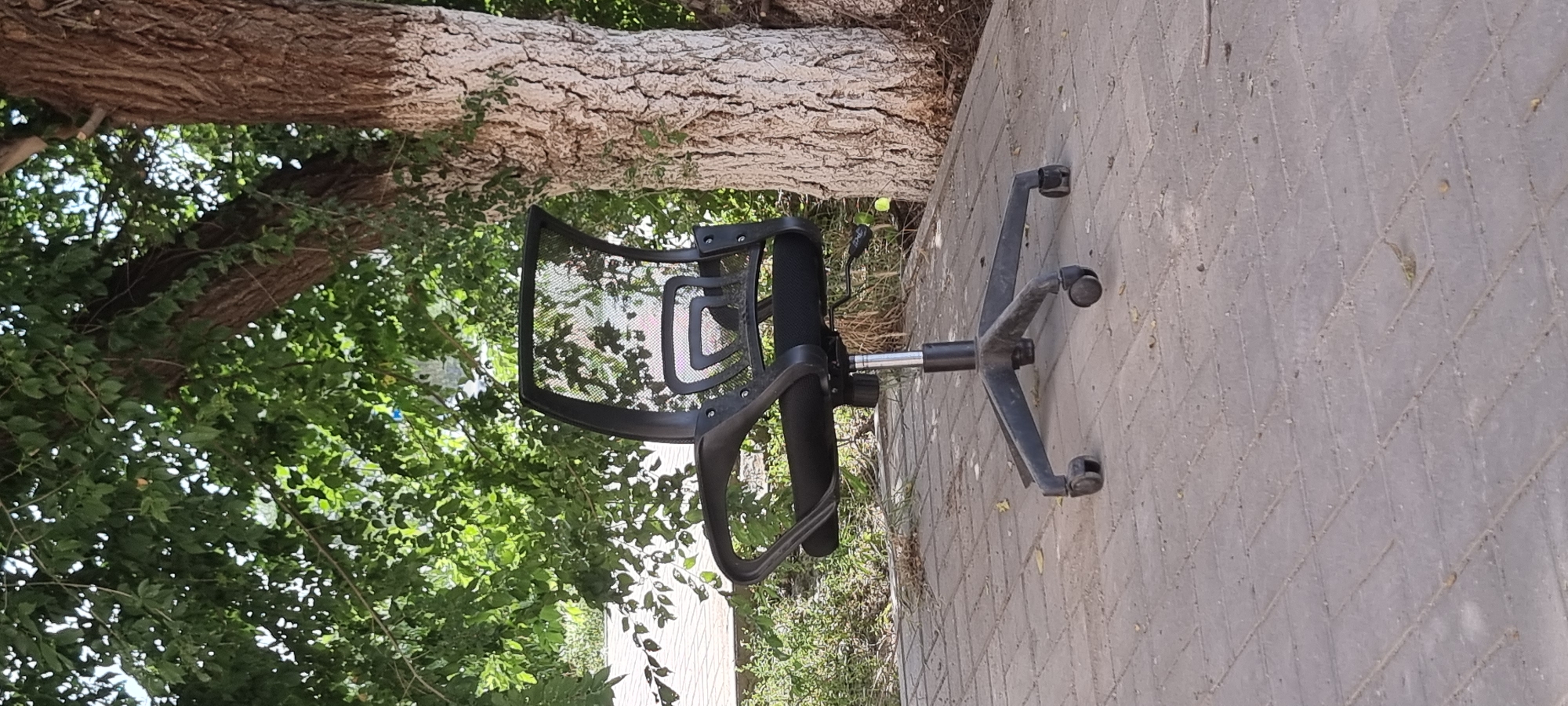 An office chair with a mesh back is situated outdoors on a paved walkway. The chair is black with a silver adjustable stem and a five-wheeled base. Behind the chair, a large tree with textured bark is visible, along with green foliage and a hint of a building. The ground is composed of interlocking rectangular pavers. The scene is captured in daylight. The location of Aktobe, Kazakhstan is provided as context but cannot be visually confirmed from the image itself.