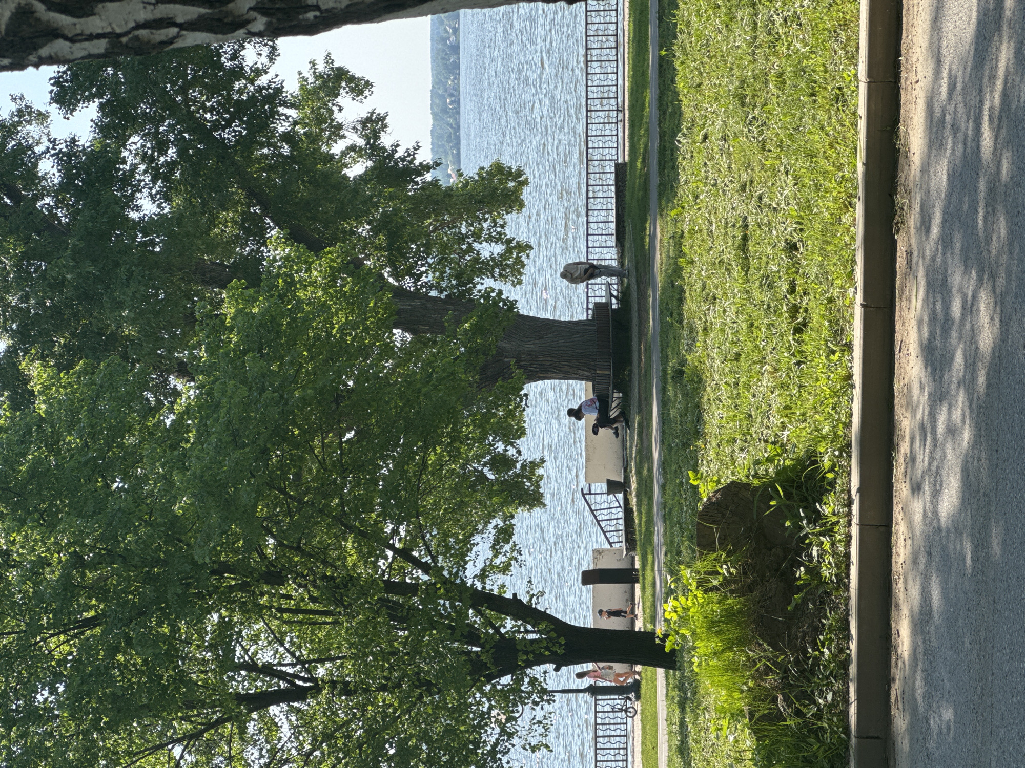 The image shows a waterside scene in Votkinsk, Russia. A paved path runs along the edge of a body of water, separated by a low wrought-iron fence. The path is bordered by a strip of grass. Several people are present along the waterfront. One person is sitting on a bench near the water's edge. Another individual stands near the fence. Further down the path, a couple is present near the railing. Large trees with green foliage are prominent in the foreground. A portion of the sky is visible in the background.