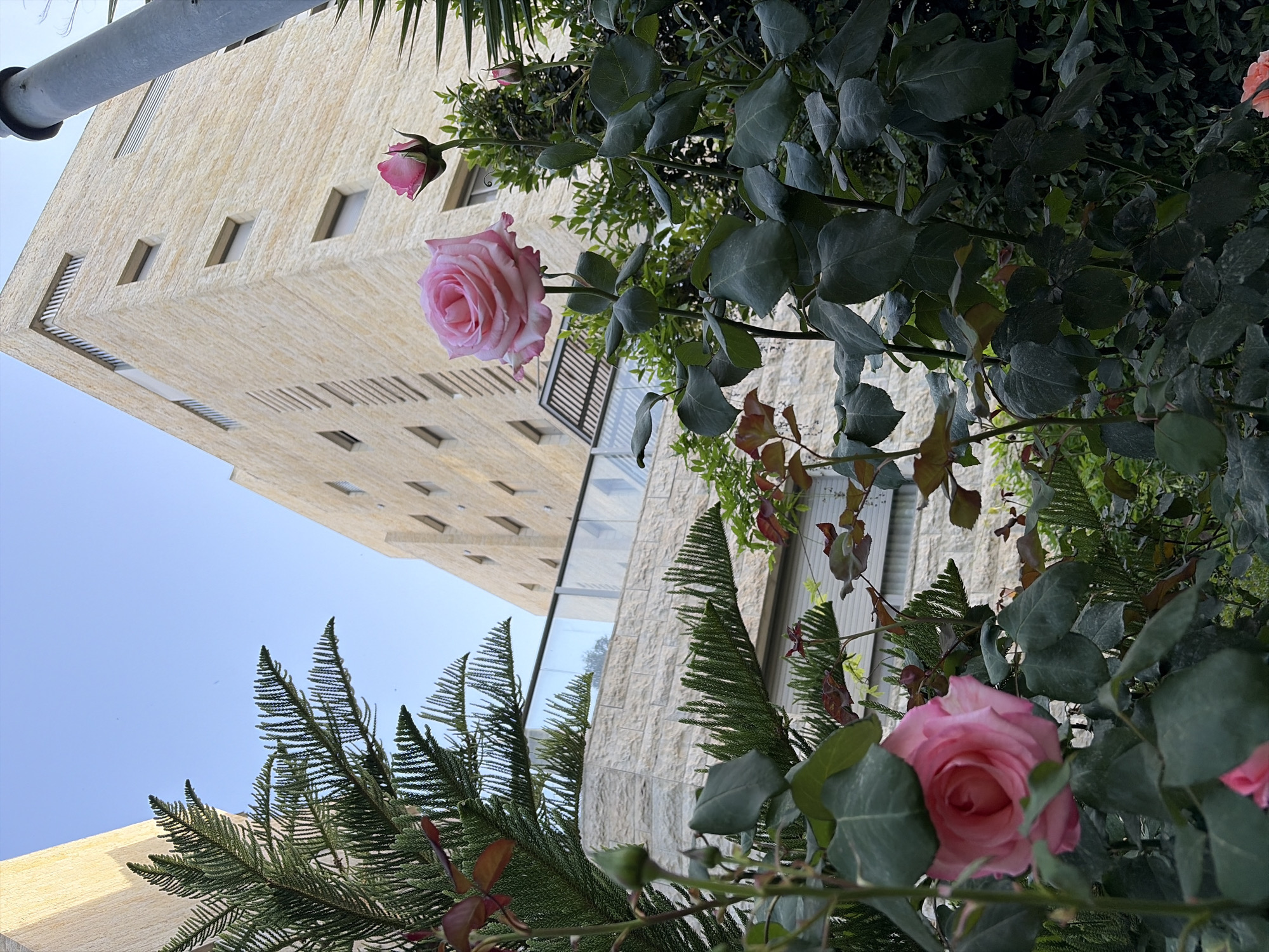 Captured from a low-angle perspective, the photograph showcases a beige building situated in Unknown, Unknown. The façade of the building, possibly an office or residential structure, is characterized by regularly spaced windows. A variety of lush flora, including roses in full bloom, partially obscures the view of the building. The sky above is a clear, pale blue.