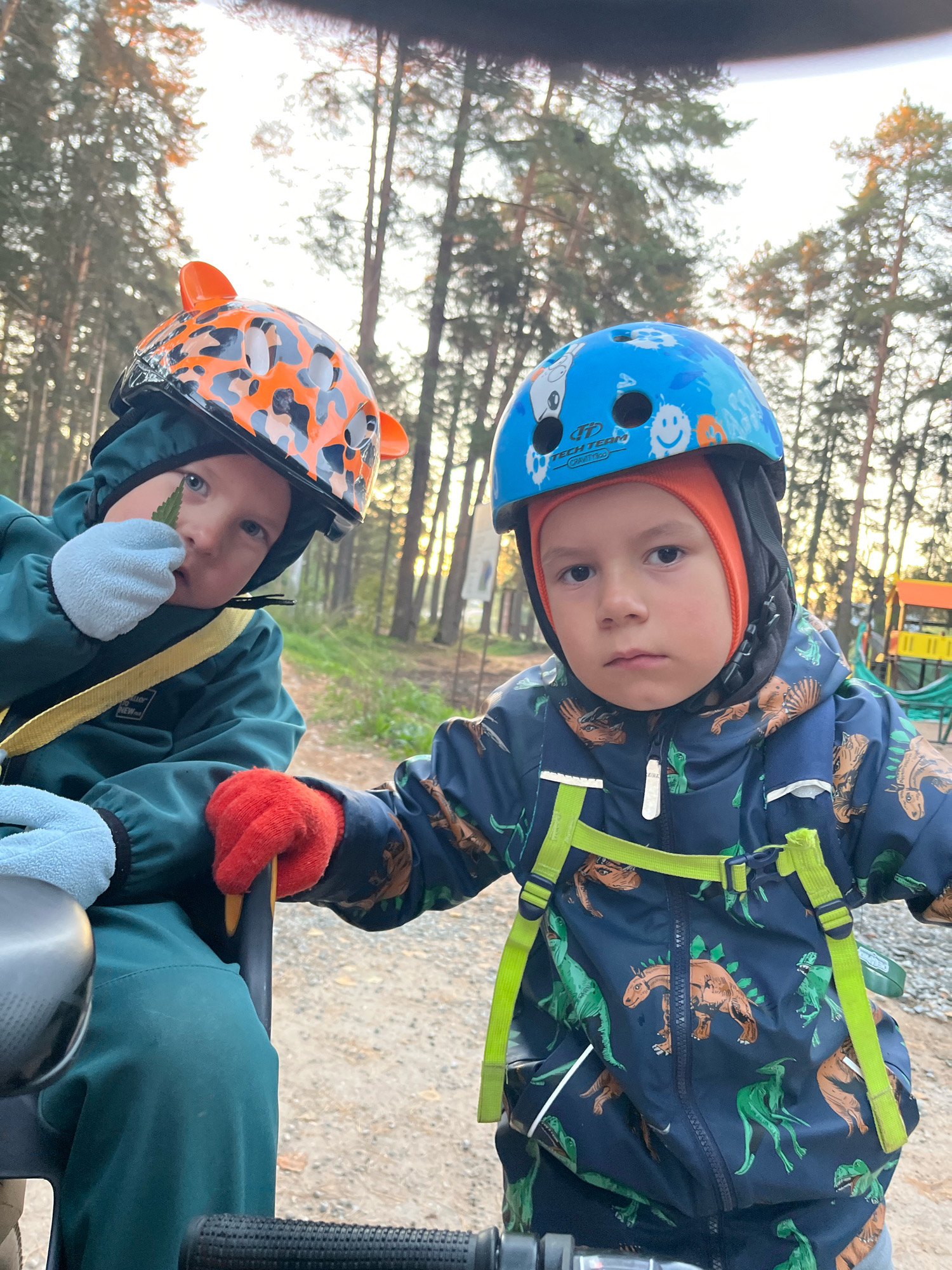 Two young boys, both wearing helmets and winter clothing, are seated in what appears to be a vehicle. The boy on the left has a helmet with orange tiger stripes and ears, and is wearing a dark green hooded jacket with light blue gloves. He is holding a green leaf up to his face. The boy on the right has a blue helmet with cartoon characters and is wearing a dark blue jacket with a dinosaur print. Both boys are looking towards the camera. The background shows a forest with tall trees, suggesting an outdoor setting. There is a dirt path and some structures in the distance, possibly a playground or park. The lighting suggests it is either early morning or late afternoon. The image is taken from a slightly elevated perspective, looking down at the boys.