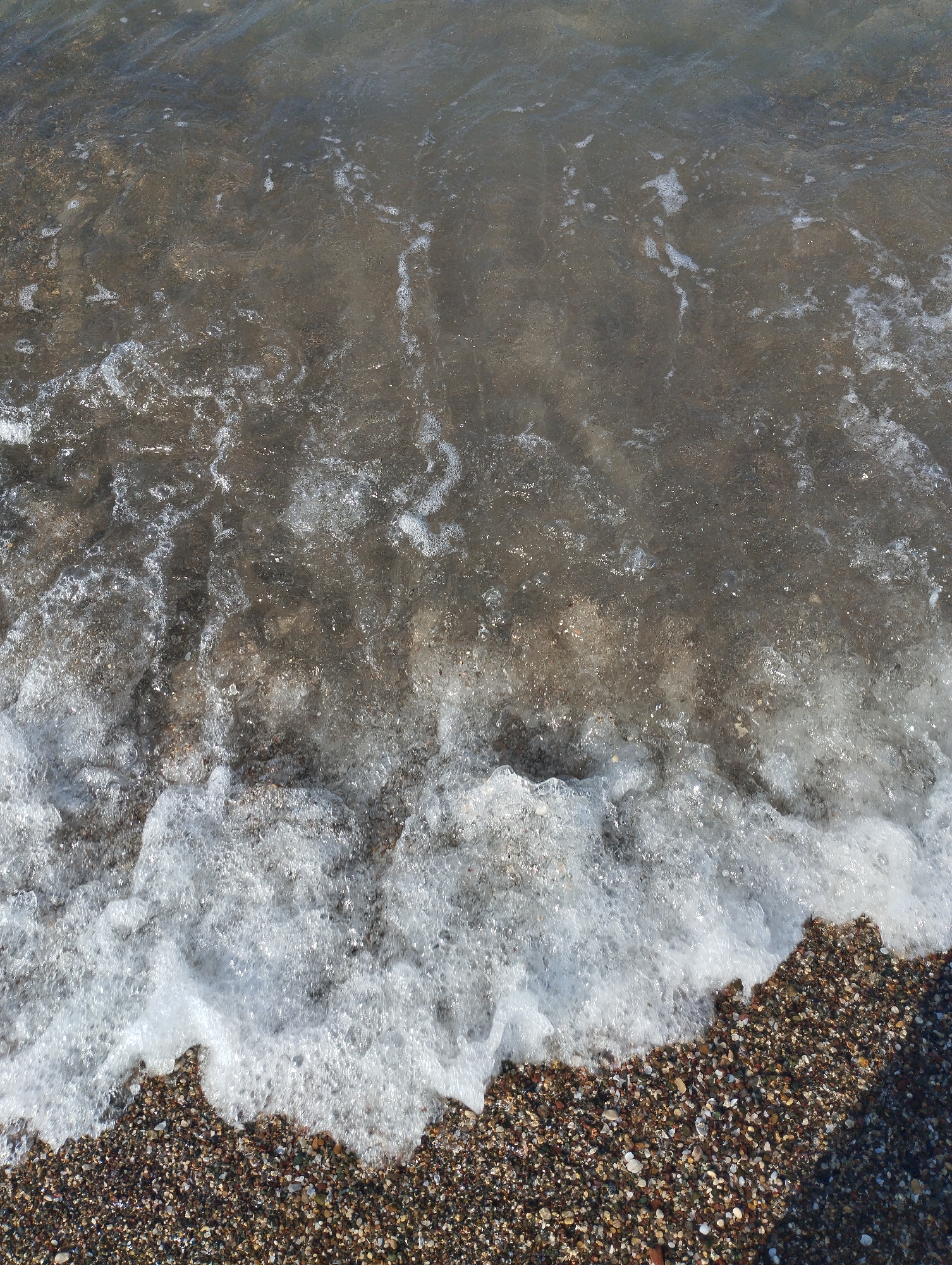 A close-up, top-down view shows a wave breaking on a pebble beach. The water is dark and somewhat murky, with small white foam bubbles visible. The pebbles on the beach are of various sizes and colors, ranging from light tan to dark brown and gray, with some appearing to be shells. Sunlight reflects off the water's surface, creating bright highlights. The scene is tranquil and depicts a natural coastal environment.