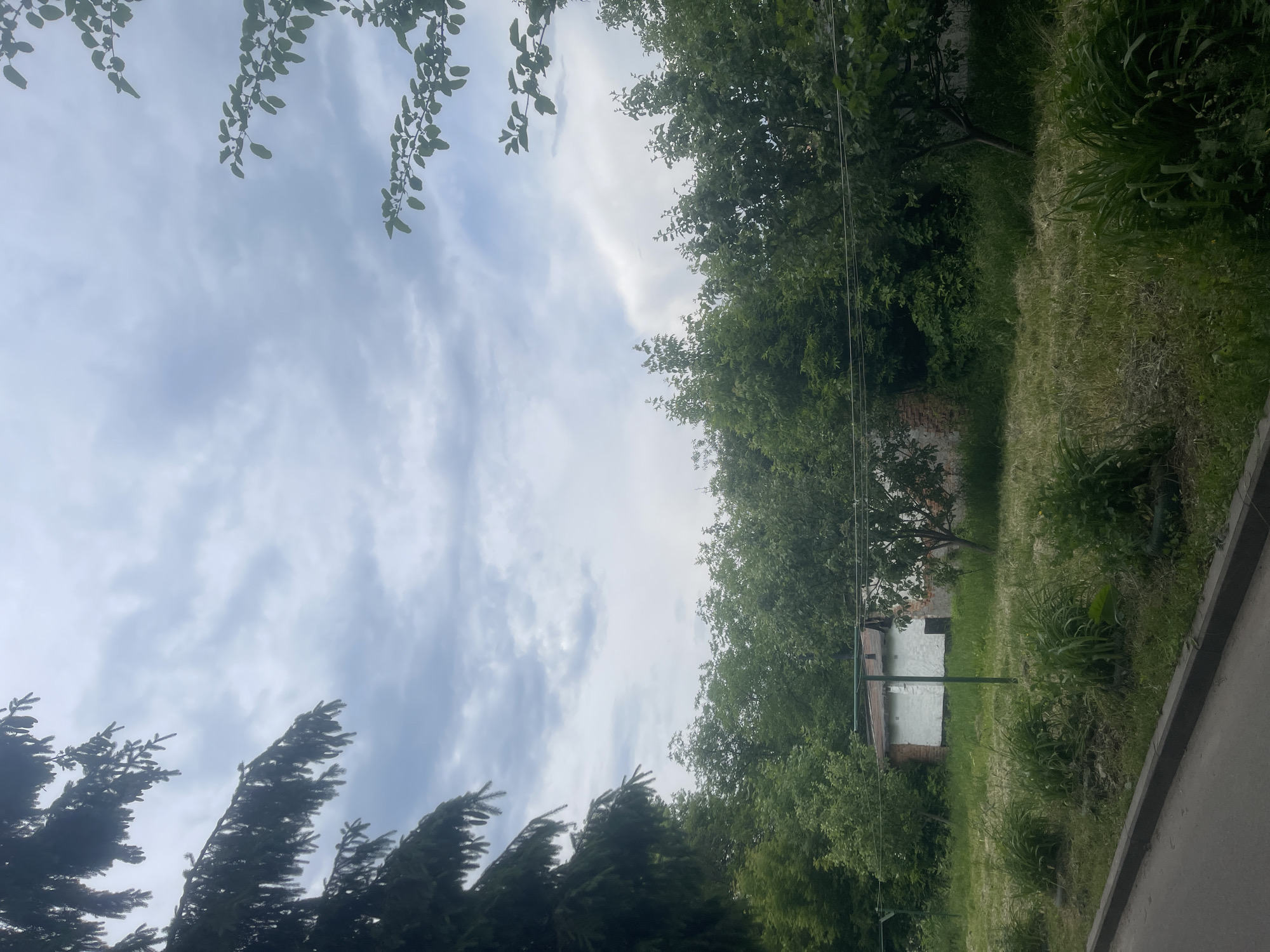 This image depicts an outdoor scene under an overcast sky in the city of Unknown, Unknown. The upper portion of the frame is dominated by a light grey, cloudy sky. From the upper left, dark green coniferous tree branches extend into the frame, while from the upper right, lighter green deciduous branches are visible.
The midground features a dense line of various green deciduous trees and bushes, forming a natural backdrop. Partially visible slightly left of center within this foliage is a small, single-story building. Its front and left-facing walls are painted white, contrasting with exposed reddish-brown brick on its right side. A small, dark, rectangular opening, possibly a door or window, is present on the white wall.
In front of the building and trees, a clothesline structure is visible, consisting of two green metal poles supporting horizontal lines. The ground is covered in green grass, with sections appearing recently mowed and other areas exhibiting taller growth. In the immediate foreground, several clumps of dark green, broad-leafed plants are arranged. The bottom left corner of the image shows a grey concrete curb alongside a dark grey asphalt road or path. No individuals are present in the scene.