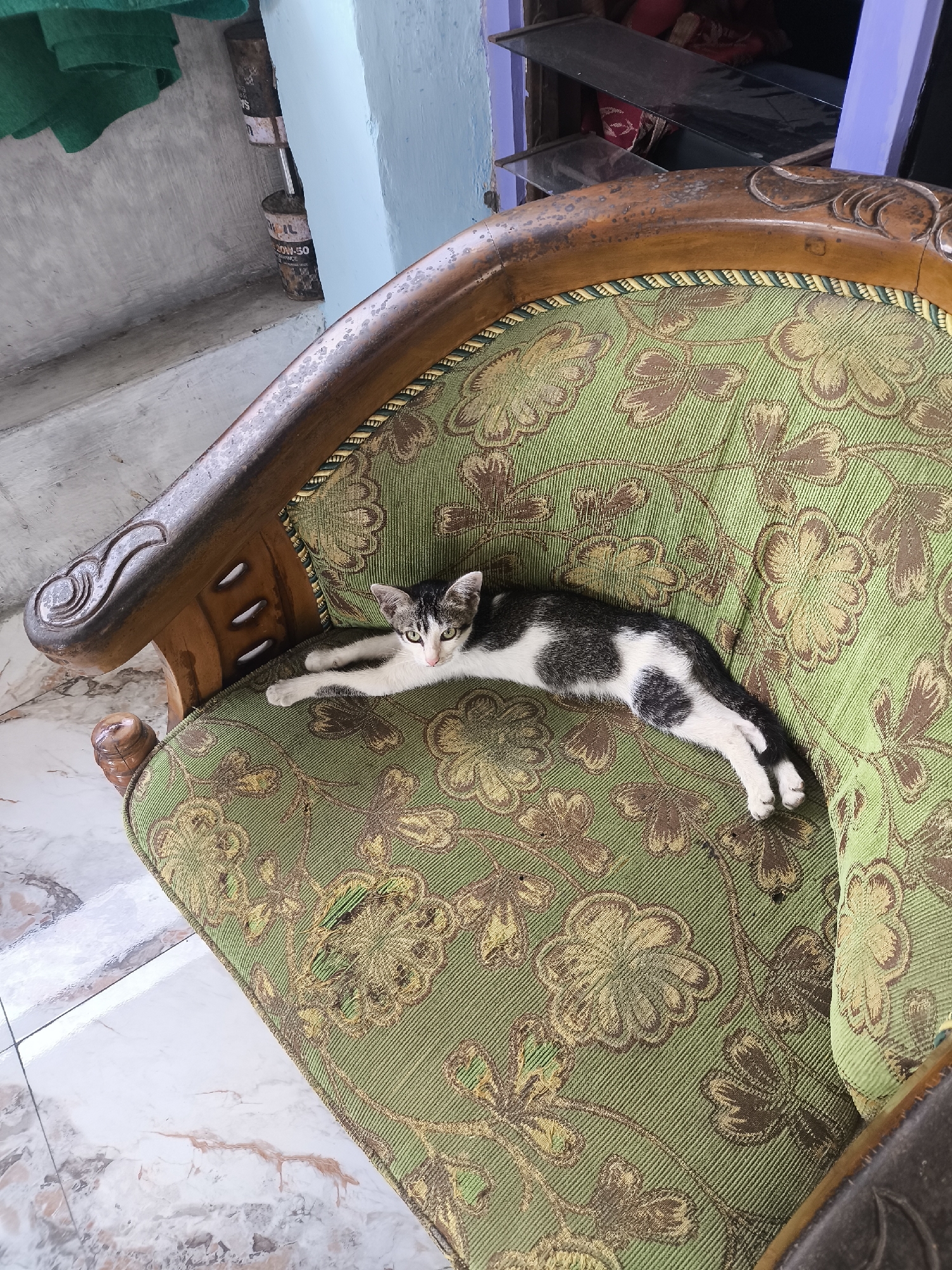 A young black and white cat with green eyes is lying stretched out on a green upholstered armchair with a floral pattern. The armchair has a wooden frame with intricate carvings. The cat is positioned horizontally in the center of the frame, with its body elongated and its front paws extended forward. The background shows a wall, part of a shelf with items, and marble-patterned flooring. The scene appears to be indoors, possibly in a home environment in Kebonsari, Indonesia.