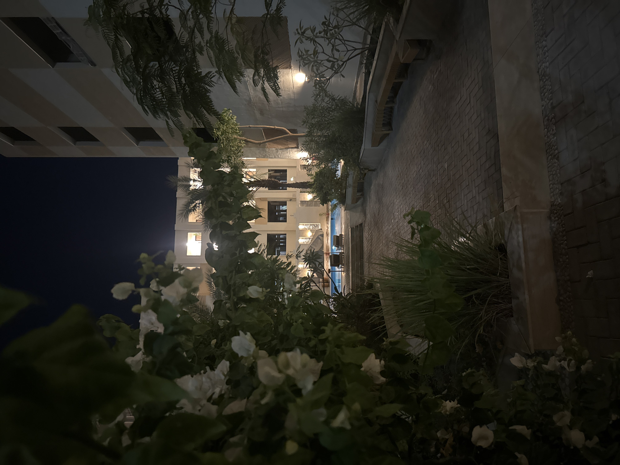 The image depicts an urban scene at night, likely in an upscale area, in Unknown, Unknown. A multi-story building with lit windows stands in the background. A brick wall runs along one side, adjacent to lush greenery, including white flowering bushes. The sky is dark.