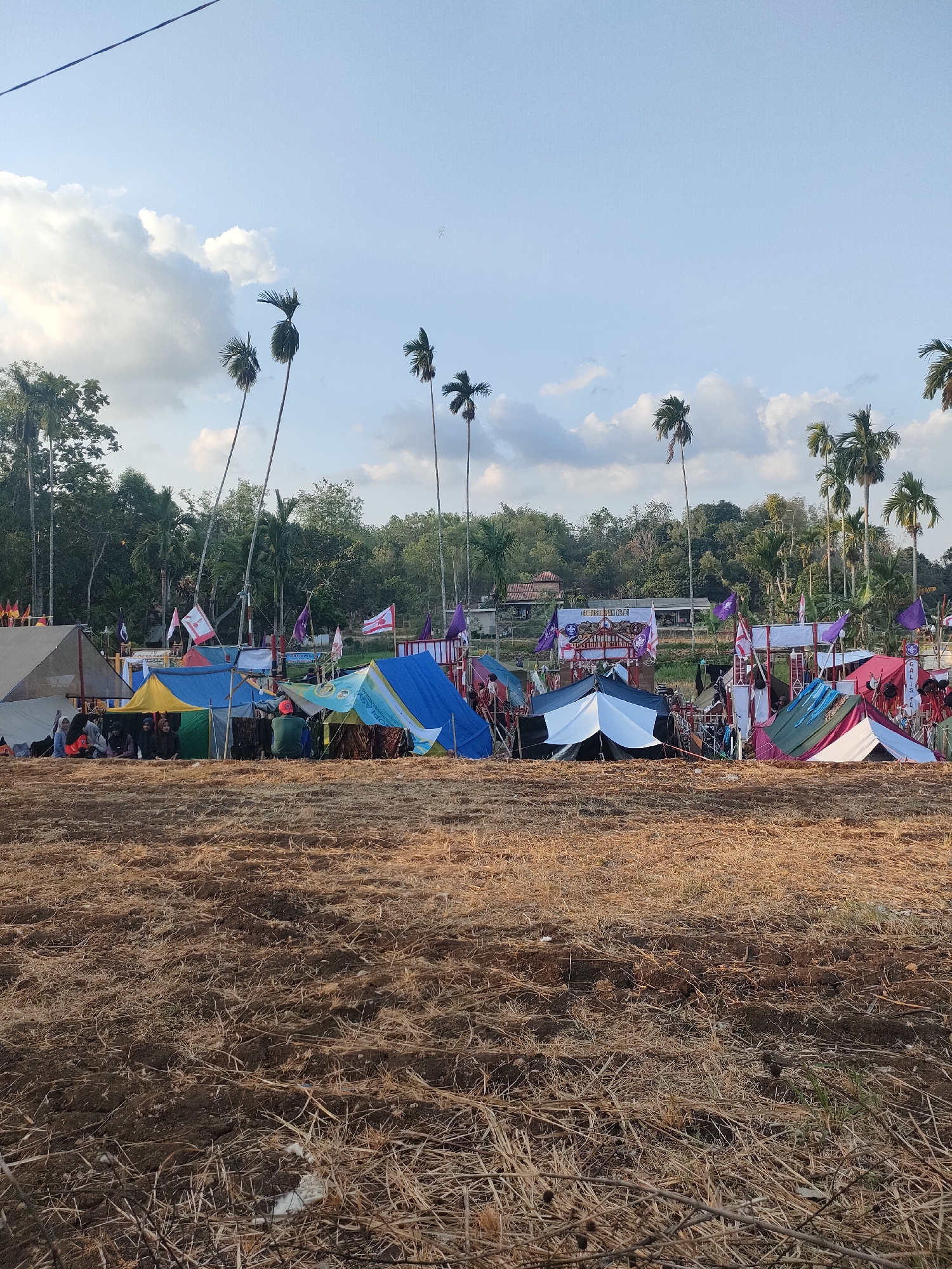 The image captures an outdoor scene, likely a campsite, in Banyubunih, Indonesia. In the foreground, a field of dry, harvested vegetation covers the ground. Behind this, a collection of tents of various colors, including blue, yellow, green, white, and pink, are set up, suggesting a temporary settlement or event. Several people, appearing to be youth, are visible gathered around and inside the tents. Flags, some with text or emblems, are planted throughout the campsite, adding a festive or organizational element. In the background, a line of trees, including palm trees, forms a natural backdrop, with some buildings visible amongst them. The sky above is a pale blue with scattered white clouds. The overall impression is that of a community gathering or scouting event taking place in a rural Indonesian setting.