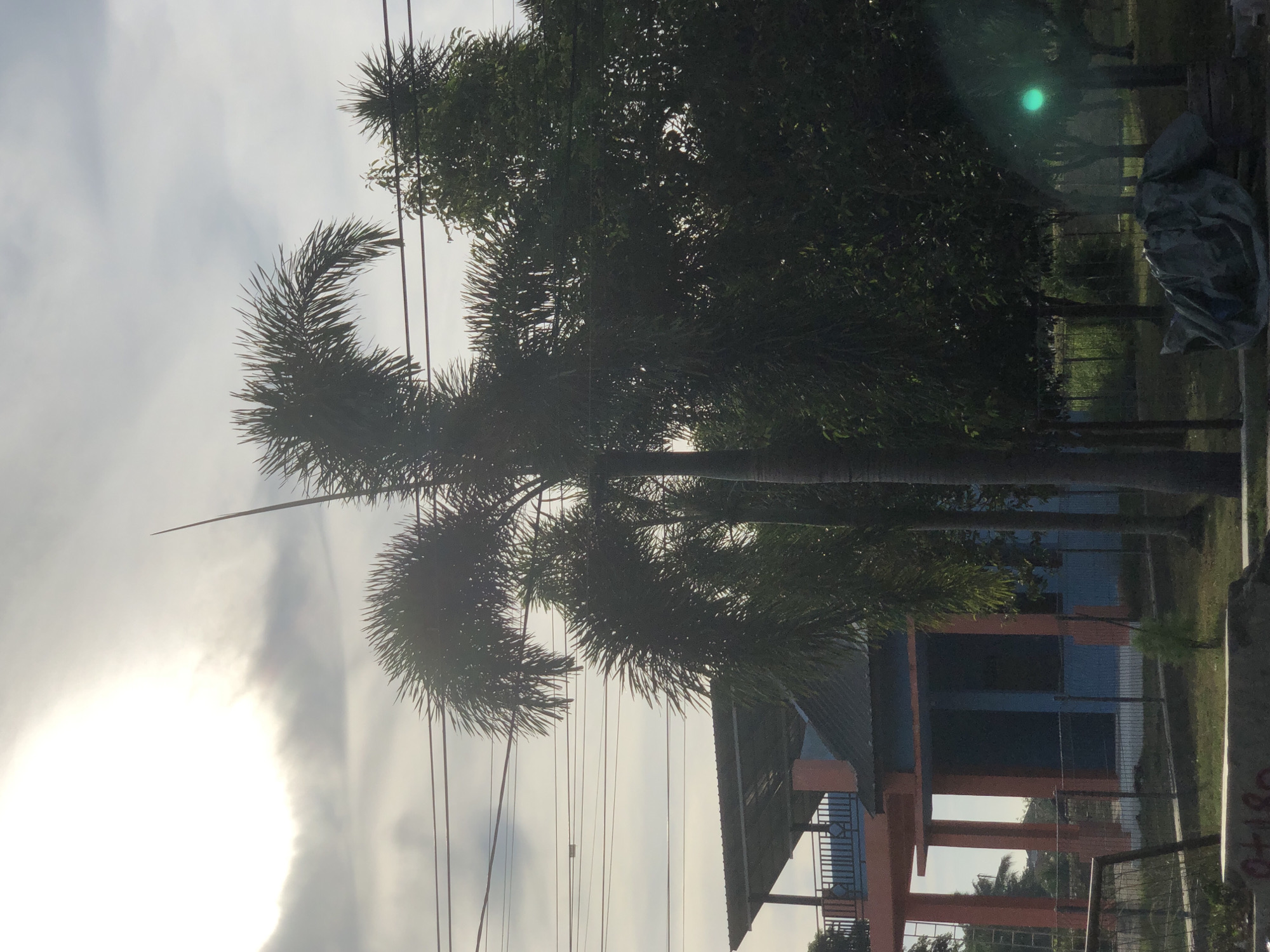 The image shows a building with blue walls and orange support structures. In front of the building, there are palm trees and other greenery. Electrical wires are visible in the sky. A green light or lens flare is present on the right side of the image. The scene appears to be outdoors, possibly in a residential or recreational area. The sun is shining brightly through the clouds, casting a warm light on the scene. The overall impression is one of a tropical or subtropical environment.
