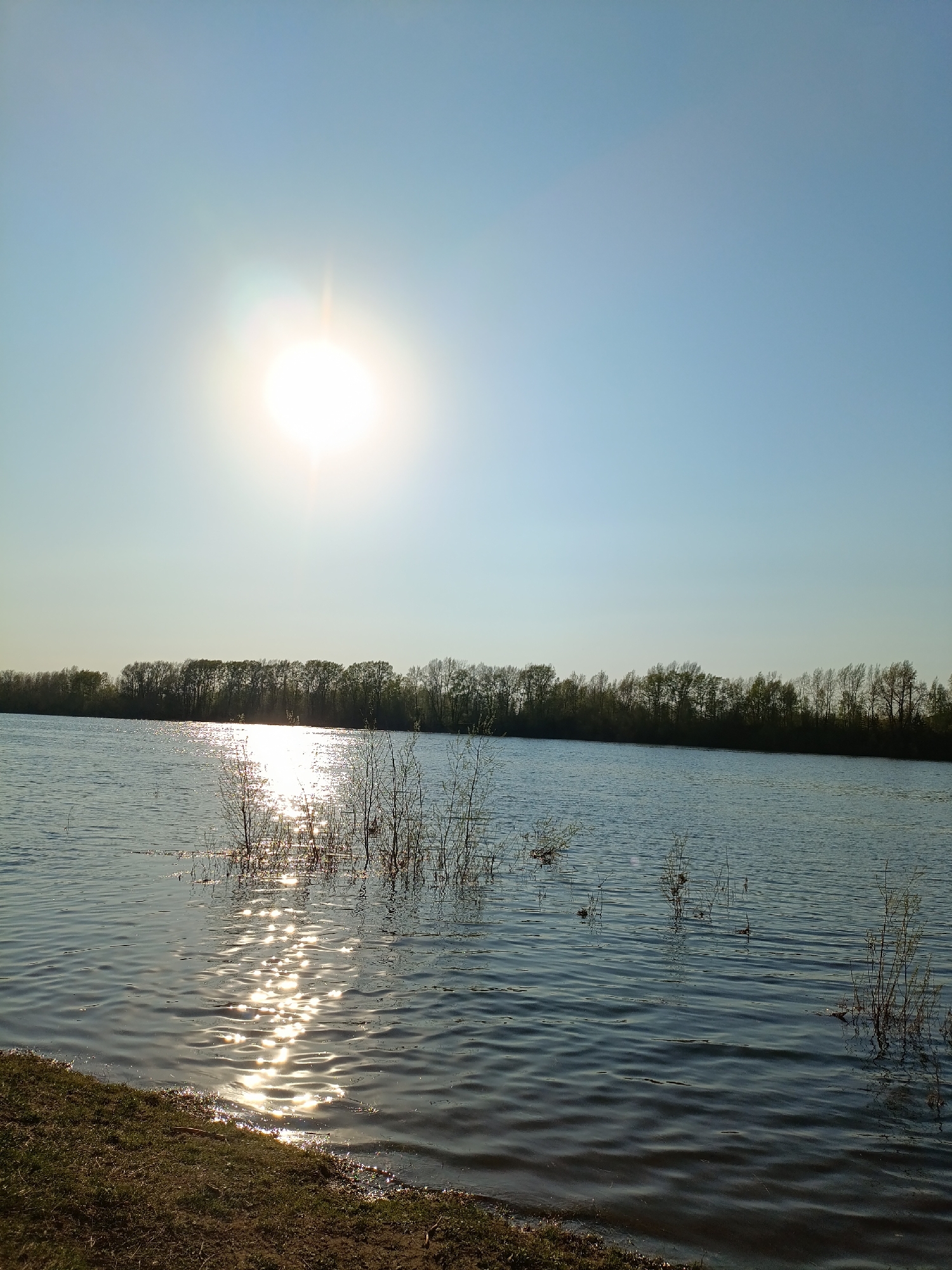 A landscape photograph shows a wide river under a clear blue sky with a bright sun. The river reflects the sunlight in a shimmering, glittering pattern. In the middle ground, there are small branches or saplings growing out of the water. A line of trees is visible on the opposite bank of the river. The foreground shows a grassy bank with dry vegetation. The scene suggests a natural setting, possibly in a rural or suburban area. The location is Chaikovsky, Russia.