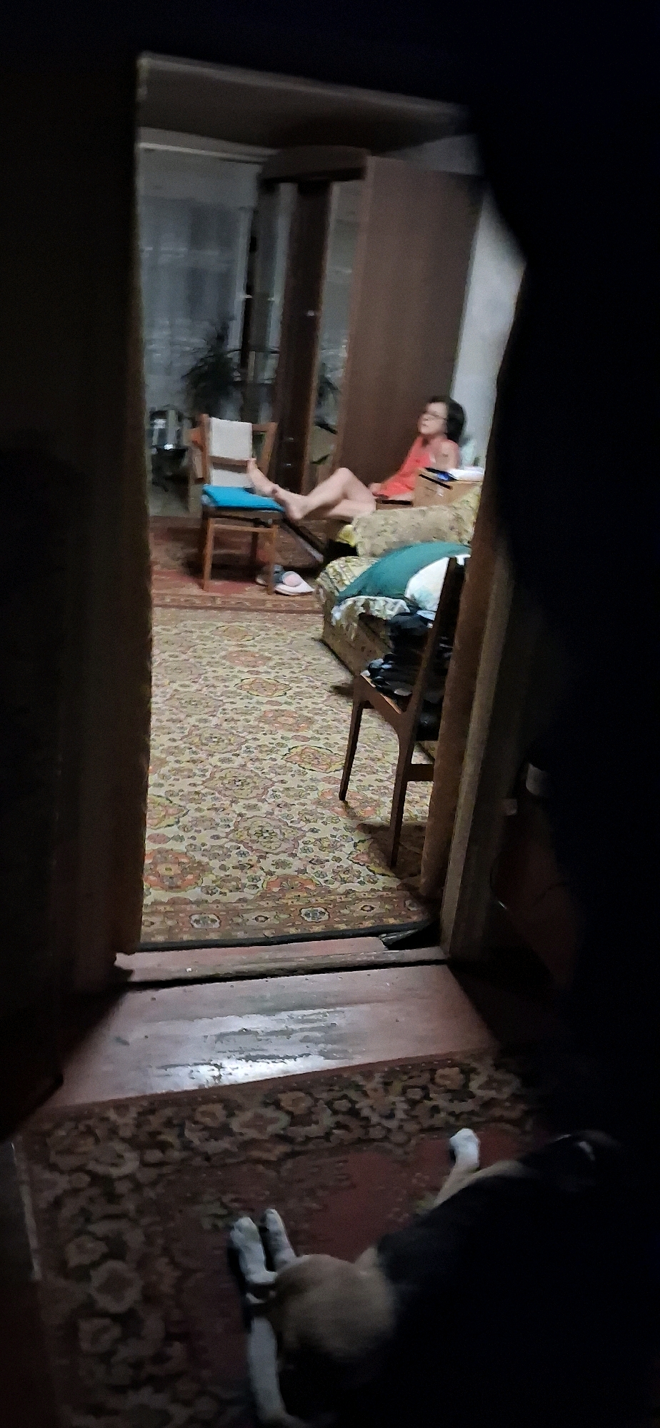 The image depicts an indoor scene, possibly a living room, with a person sitting on a sofa and a dog lying on the floor in the foreground. The room has a patterned carpet and furniture. The lighting appears dim, suggesting it may be evening or nighttime. The overall impression is a casual, domestic setting.