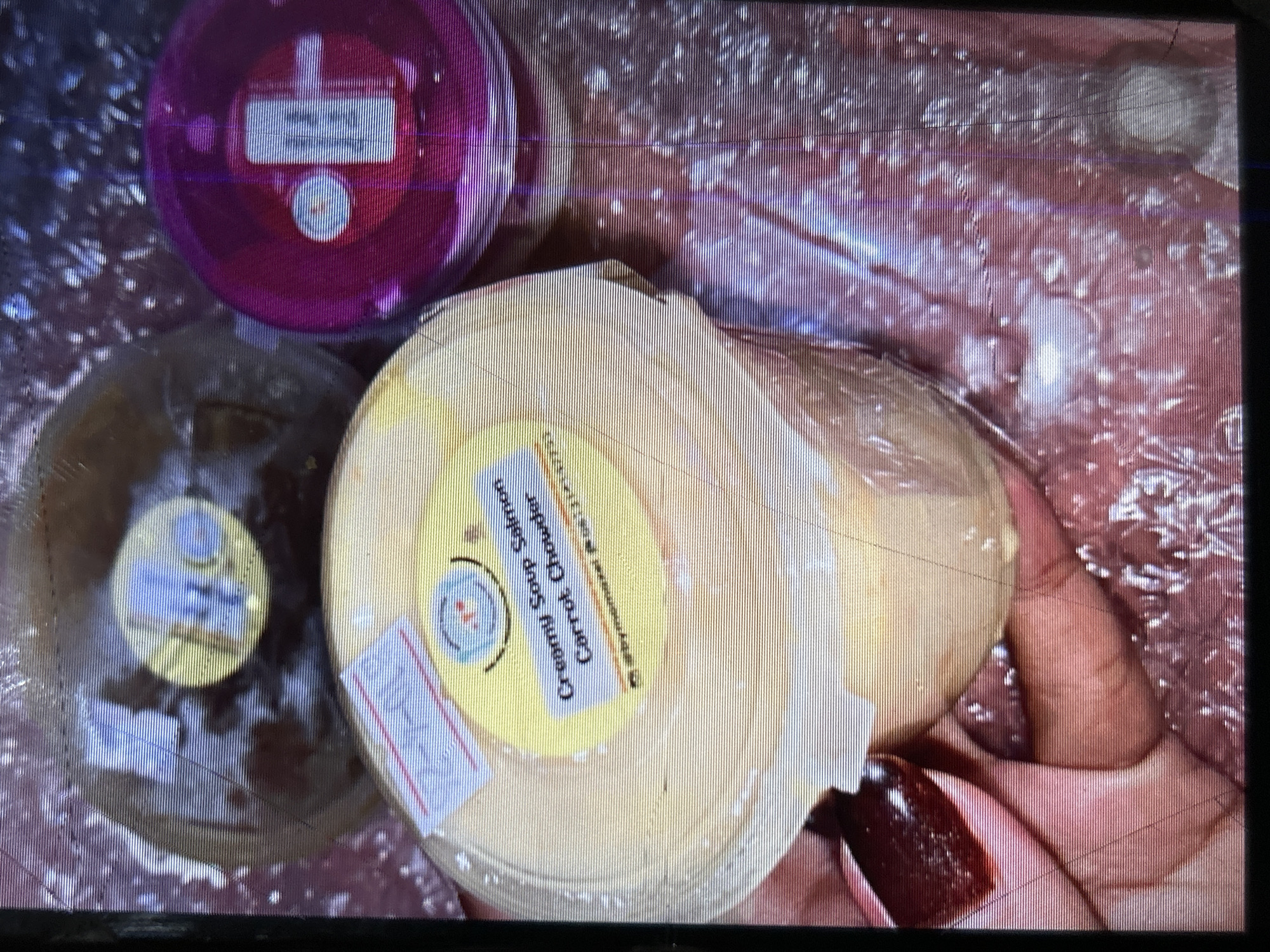 The image shows three containers of food, possibly soup or dessert, arranged on a surface that appears to be wrapped in plastic. The container in the foreground is a clear plastic cup with a yellow label. The label features text that reads "Creamy Soup Salmon Carrot Chowder" and a social media handle "@bymemxzel". There is also a price tag or writing in red and white on a sticker above the yellow label. To the left and right of this container are two other containers, one dark colored in the background and a magenta colored one to the right. The image is taken from a high angle, looking down. A person's hand with dark red nail polish is visible in the lower left corner, holding the foreground container. The overall environment appears to be indoors and has a slightly cluttered or informal setting. There is no specific visual information that allows for identification of the location within the city of Depok, Indonesia.