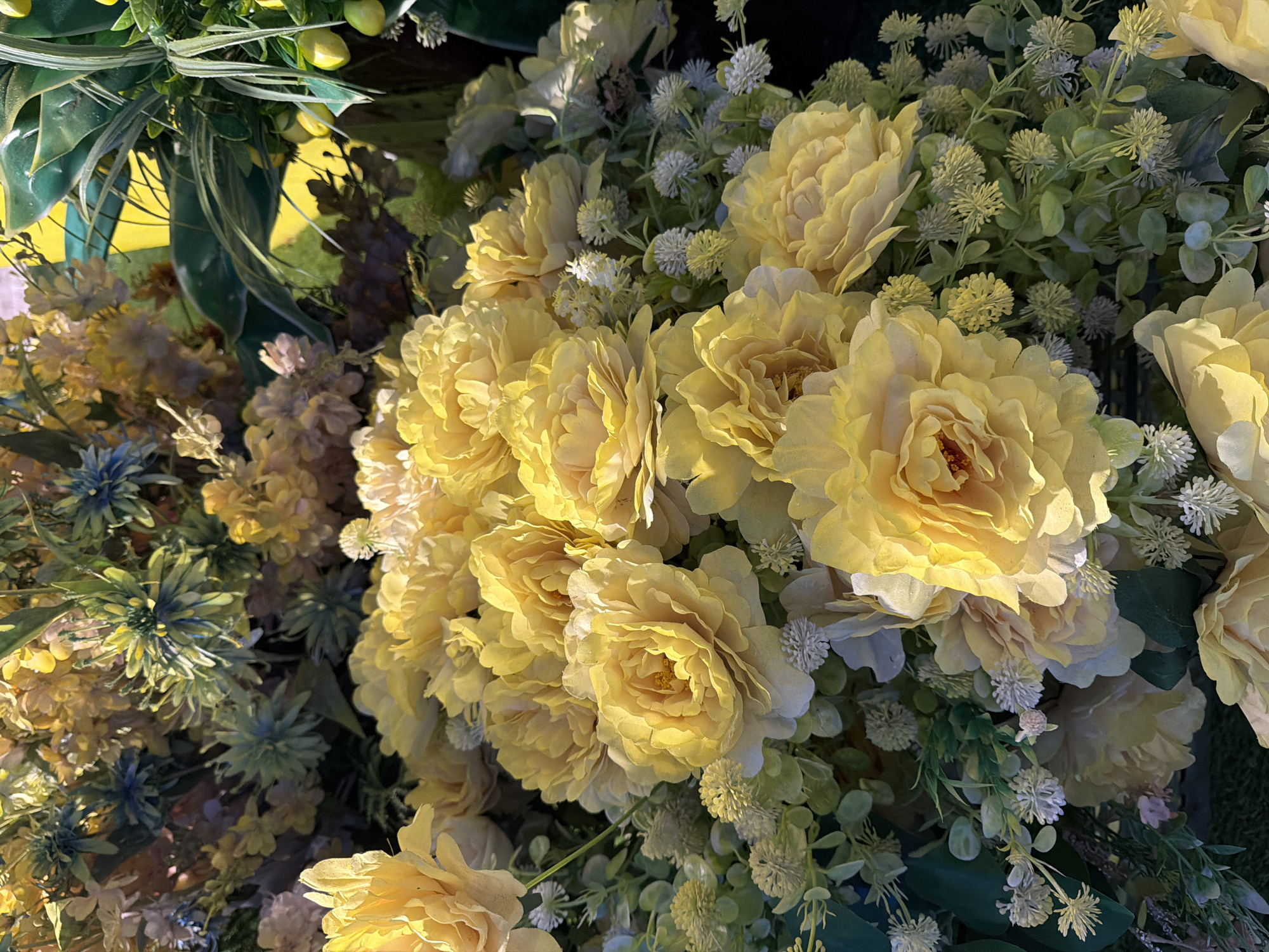 This is a close-up, eye-level, overhead shot of a vibrant artificial flower arrangement, predominantly featuring large, ruffled yellow peonies. The scene is densely packed with various flowers and foliage, creating a rich tapestry of textures and shades of yellow, green, and hints of blue and white.
The main subjects are the numerous yellow peonies, their petals appearing soft and layered, catching the light. Interspersed among them are smaller, delicate white flowers with a clustered appearance, and sprays of green leaves and tiny, round green buds. In the lower left portion of the frame, there are clusters of blue and green flowers with a spiky, star-like appearance.
The arrangement appears to be outdoors, possibly in a garden or as part of an event decoration, given the naturalistic yet meticulously placed flowers. The lighting suggests it's daytime, with warm sunlight casting highlights on the petals and creating shadows within the dense foliage. There are no people visible in the media file, nor any specific activity taking place, other than the static display of the flowers.
Notable details include the artificial nature of the flowers, evident in their uniform appearance and slightly waxy sheen. The overall impression is one of abundance and cheerful color, with the yellow dominating the palette. The background is mostly obscured by the flowers, but hints of dark green or black suggest a dark backdrop or possibly more foliage. There is no visible text within the media file. The location context of Nha Trang Ward, Vietnam, does not provide specific visual cues in this close-up shot, but suggests a tropical or subtropical setting where such floral arrangements might be common for decoration.