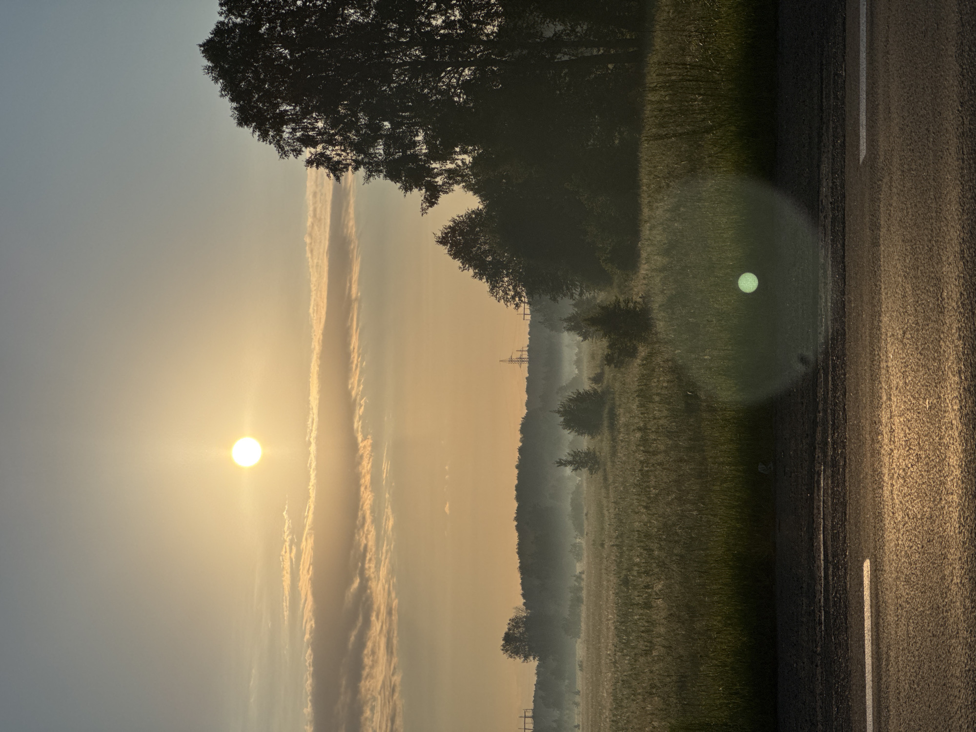 The photograph depicts a rural roadside scene at sunrise. The sky is a gradient of soft blue and warm orange, with the sun, a bright white orb, positioned in the upper left quadrant. Wispy clouds are visible in the lower portion of the sky, illuminated by the sun. A large, silhouetted tree stands prominently on the right side of the image, its dense foliage obscuring the background. In the middle ground, a field of tall grass or crops is partially shrouded in mist, with several smaller trees scattered throughout. In the distance, a dark line of trees forms the horizon, and power lines and towers are faintly visible on the far left. The foreground features a paved road with a white line marking the edge of a lane. The road surface is wet and reflects the warm light of the rising sun, creating a shimmering effect. A bright, circular lens flare is present in the lower middle section of the image, superimposed over the field and road. There are no people or animals visible in the frame. The environment suggests a tranquil, early morning landscape in a rural area.