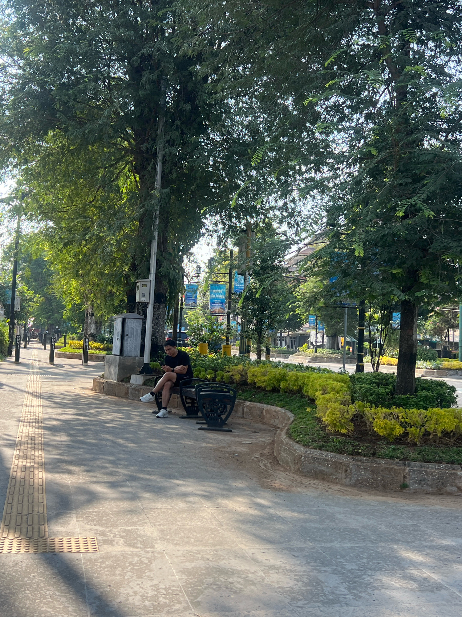 A man is sitting on a park bench in a city park in Yogyakarta, Indonesia. The man is wearing a black t-shirt and shorts and is looking at his phone. He is sitting on a concrete bench with a dark green trash can next to him. The park is lined with trees and flowers. There is a paved walkway to the left of the bench with tactile paving for the visually impaired. In the background, there are buildings and more trees. The sun is shining, casting shadows on the ground.