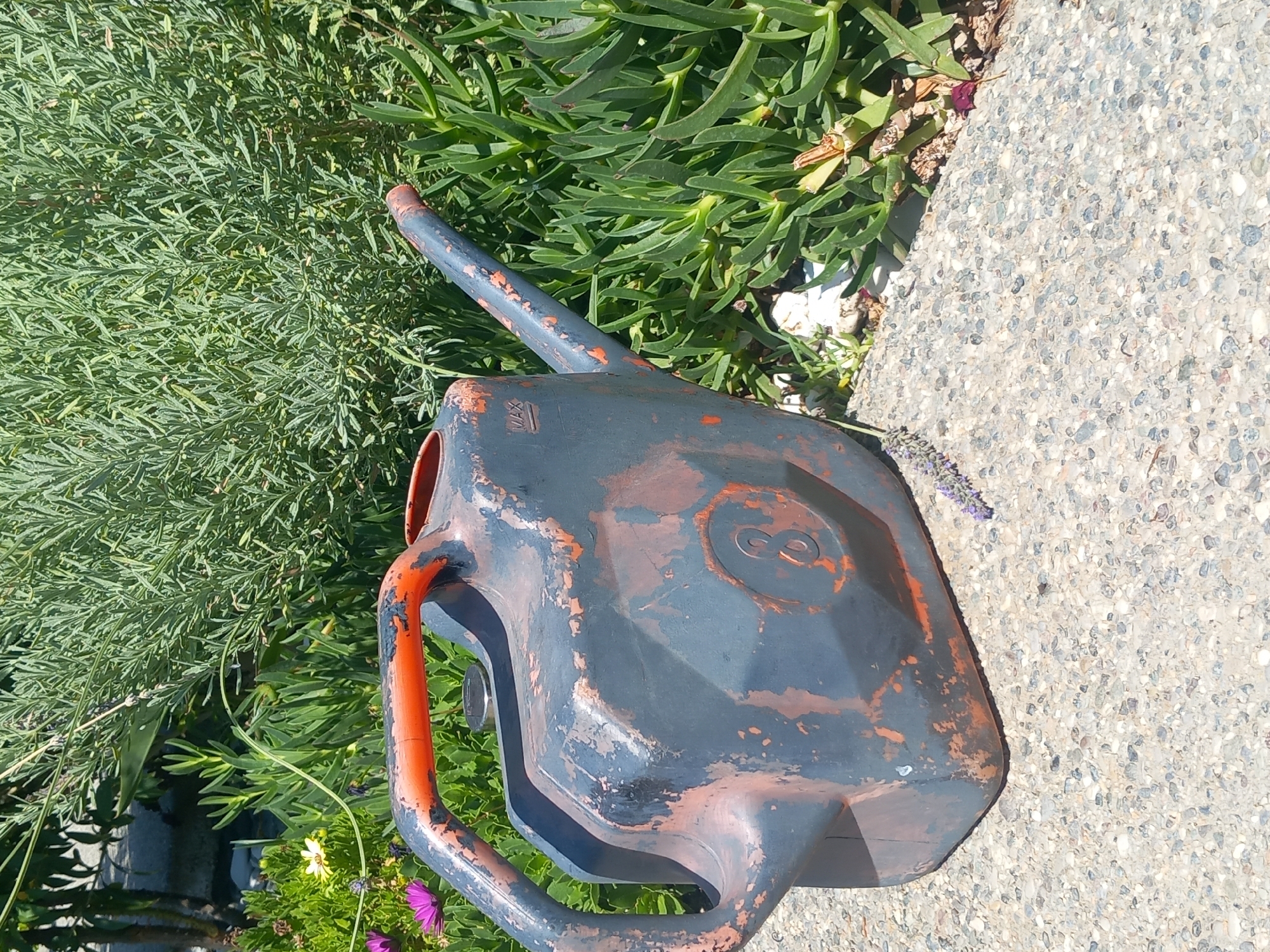 In Άγιος Νεκτάριος, Greece, a weathered dark grey watering can with orange accents sits on a pebbled pathway. The watering can shows significant wear, with chipped paint revealing an orangish-red undercoat. On its side, a circular emblem with the numeral "8" is visible. To the left of the watering can, a sprig of lavender lies on the ground. Behind the watering can, lush green foliage forms a dense backdrop, with a few small purple and yellow flowers peeking out from the greenery on the left. The environment suggests an outdoor setting, likely a garden or yard.