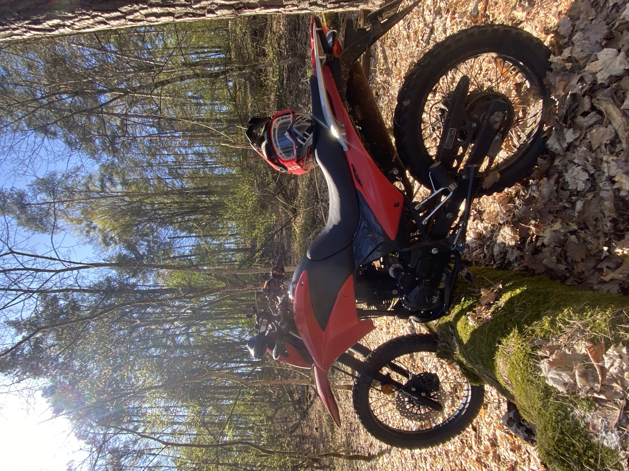 A red and black dirt bike is parked or resting in a forest setting, angled diagonally across the frame. The motorcycle is leaning against a tree trunk, with its front wheel resting near a moss-covered log. A matching red and black motocross helmet, adorned with goggles, is placed on the bike's seat.
The scene is a sun-dappled woodland, characterized by numerous tall trees with bare or sparsely-leafed branches reaching towards a clear blue sky. The ground is covered with dried, fallen leaves, indicating autumn or early spring. Bright sunlight streams through the canopy, creating dappled shadows and a noticeable lens flare in the upper left of the image.
Visible text includes the brand "SNOOKY" on the front wheel's brake disc and partially on the rim. The helmet appears to have a "FOX" logo (partially visible) and text on the goggle strap, which is difficult to decipher but might be a brand name like "OAKLEY".
The overall impression is a peaceful, outdoor scene of a motorcycle break in a natural environment.