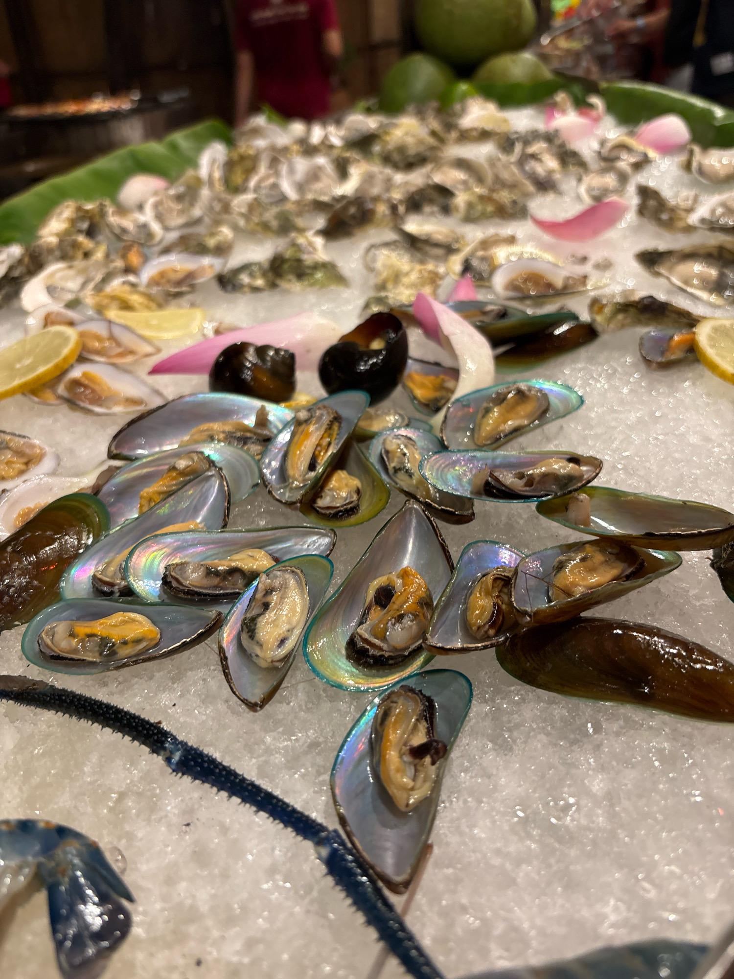 The image depicts a close-up of a seafood display on a bed of crushed ice. The foreground is dominated by an assortment of mussels, their iridescent shells catching the light, with the plump, orange meat visible inside several of them. Behind the mussels, a layer of oysters, still in their shells, is partially visible, interspersed with slices of lemon and some decorative pink and white petals. In the background, blurry figures of people can be seen in what appears to be a restaurant or market setting. The overall impression is of a fresh seafood offering, likely from a coastal city known for its aquaculture. Given the context of Vietnamese cuisine and the abundance of seafood, this scene is highly consistent with a display found in Nha Trang, Vietnam, a popular tourist destination renowned for its beaches and fresh seafood restaurants.