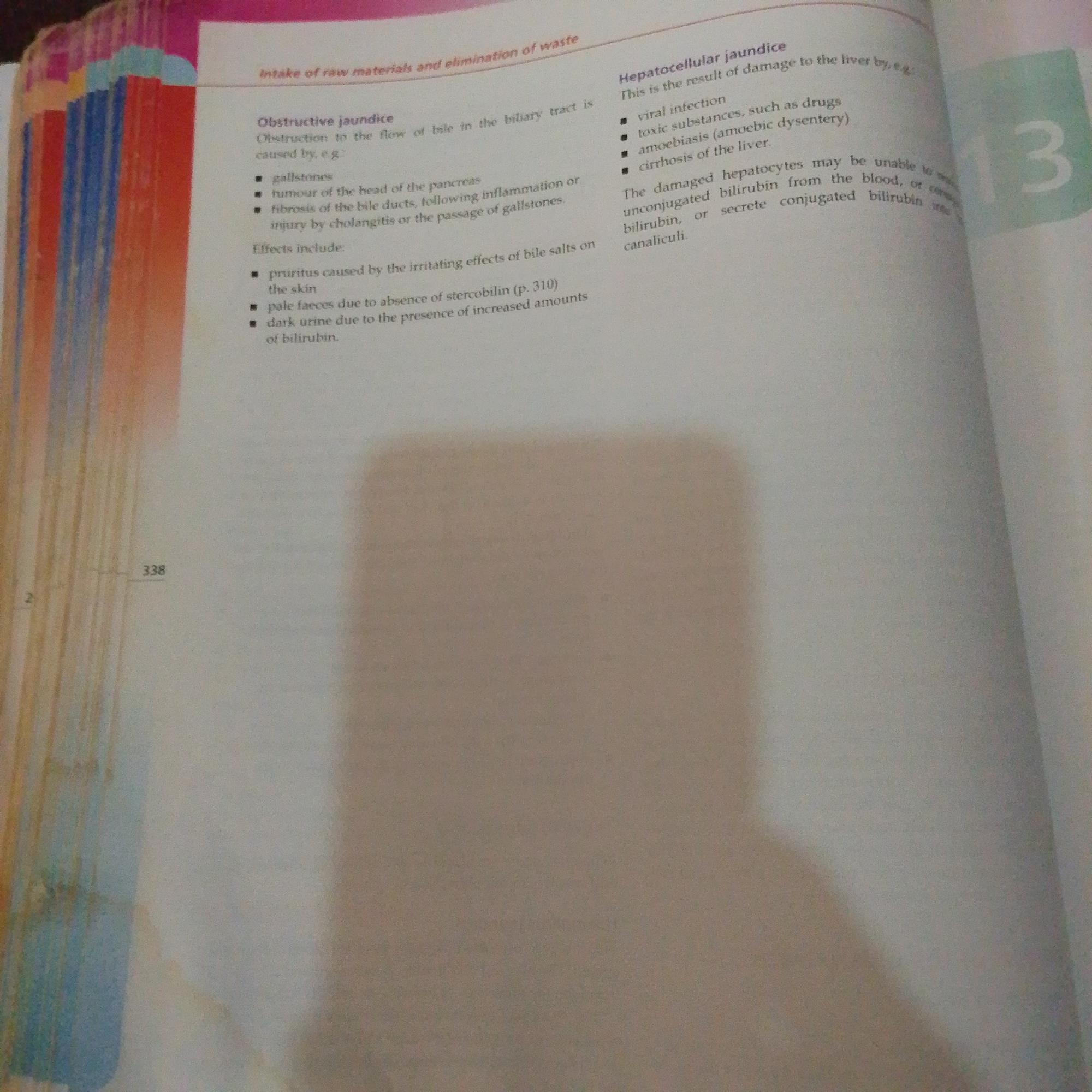 The image shows a textbook page discussing jaundice, with a section on "Obstructive jaundice" and "Hepatocellular jaundice." There is no information in the image that relates to the city of Jalingo, Nigeria. The page contains text and bullet points describing causes and effects of jaundice, as well as a partial image of a numbered page, "13," on the right side. There is also a page number "338" visible on the lower left.