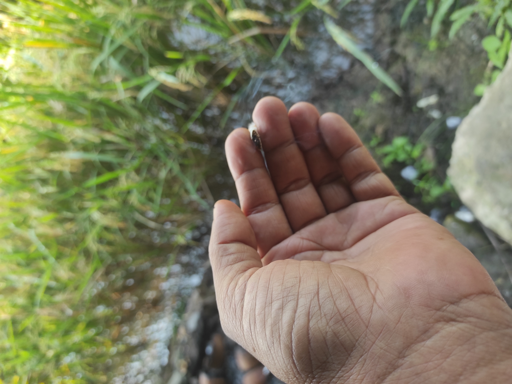 A right hand is positioned in the foreground, holding a partially smoked cigarette between the index and middle fingers. Smoke is visible emanating from the cigarette. The background includes blurry green foliage and what appears to be a damp or muddy area. The image was taken in Lhokseumawe, Indonesia.