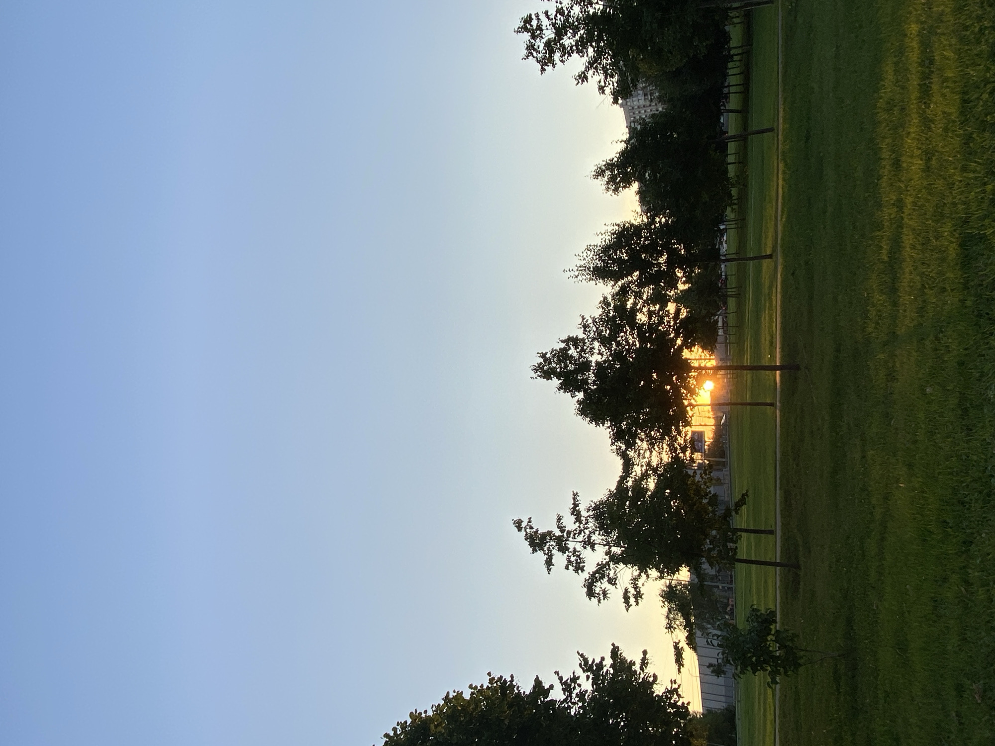 A serene park scene at sunset, featuring a line of deciduous trees silhouetted against the fading light. The sky is a gradient of pale blue to soft yellow near the horizon, where the sun's disk is partially visible through the foliage of the central trees. A lush green lawn fills the foreground, illuminated by the low-angle sunlight, creating patches of shadow and highlight. In the background, a modern building complex is faintly visible, adding a touch of urban context to the natural setting. A path cuts through the grass behind the trees, and a few smaller trees are scattered across the landscape. The overall atmosphere is peaceful and tranquil.